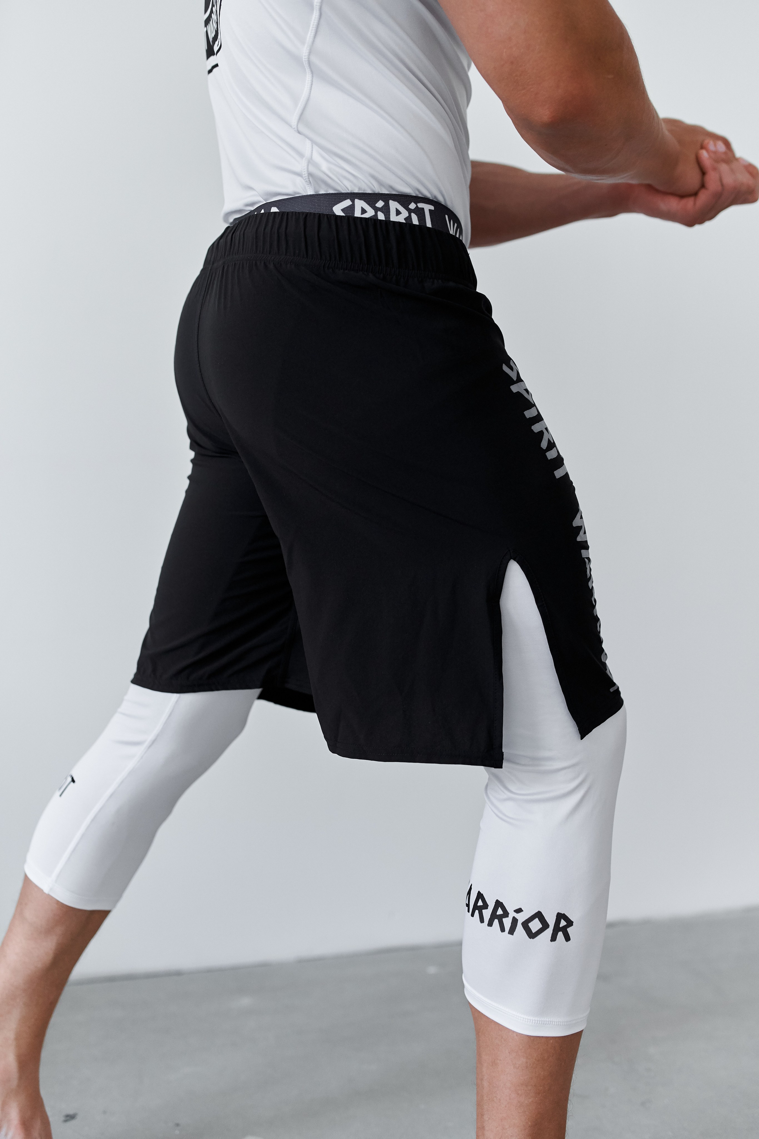 Spirit Warrior. Главная