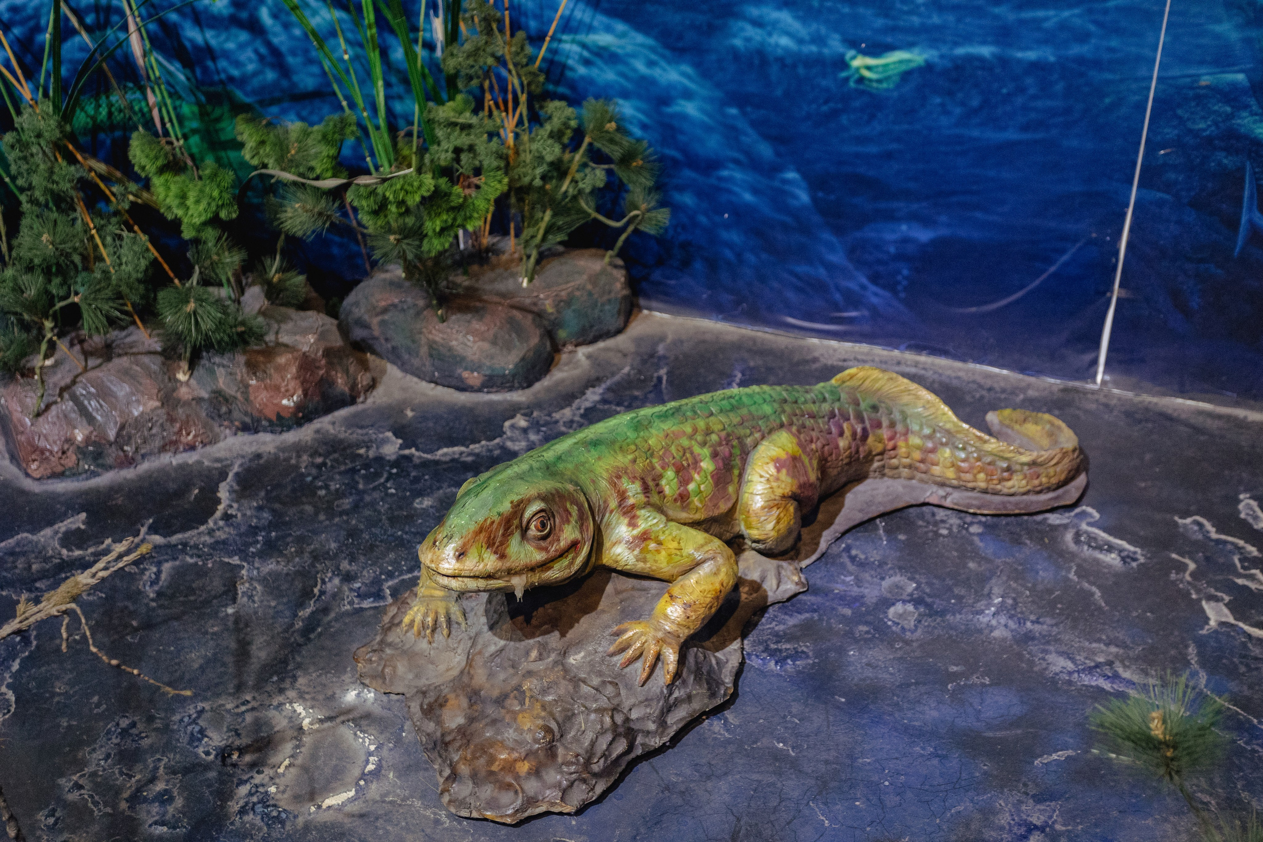 Bangkok Planetarium. Photographer Sonkina Tatiana (Tanya Ash)