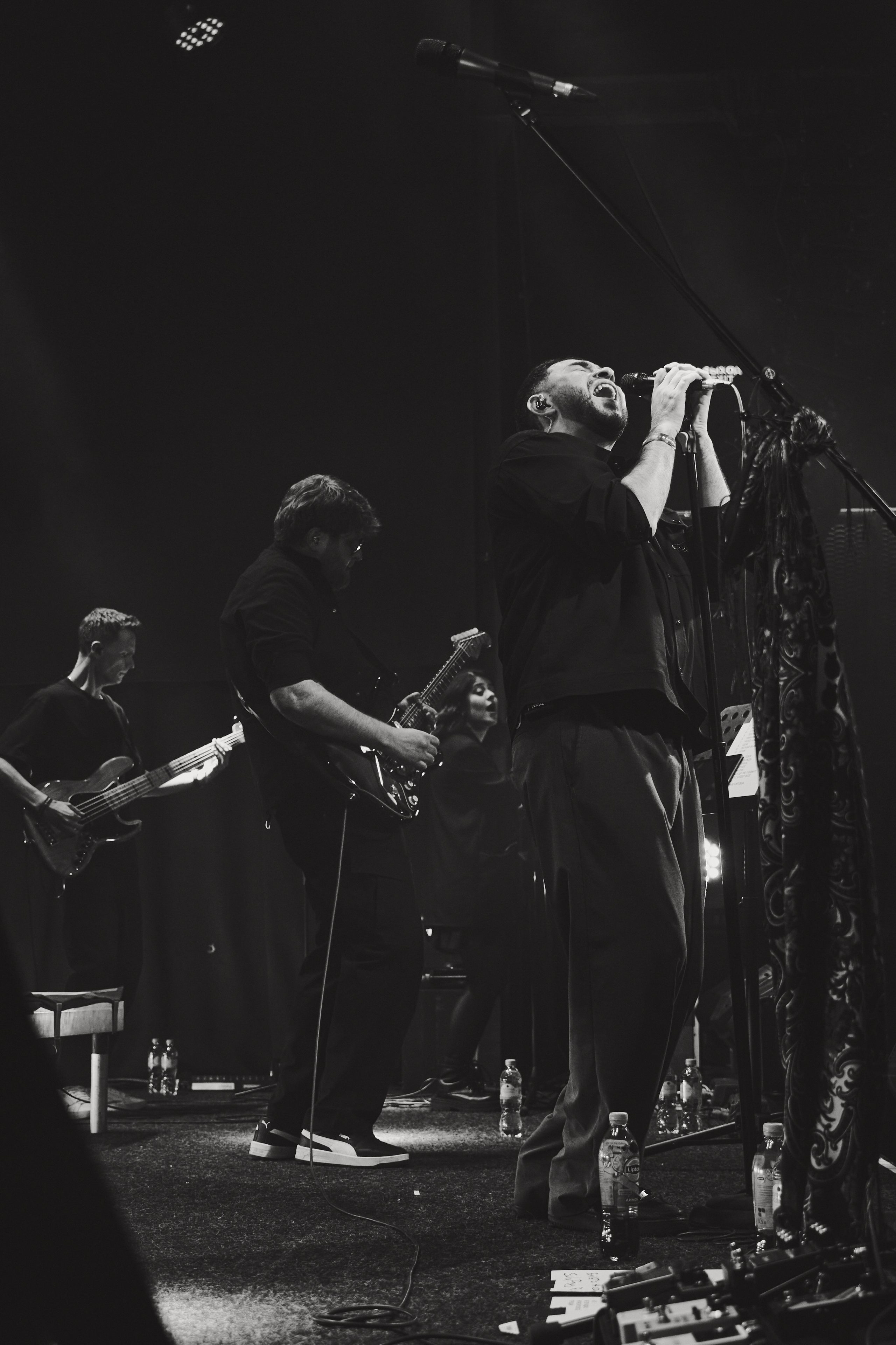 Sula Fray. Главная