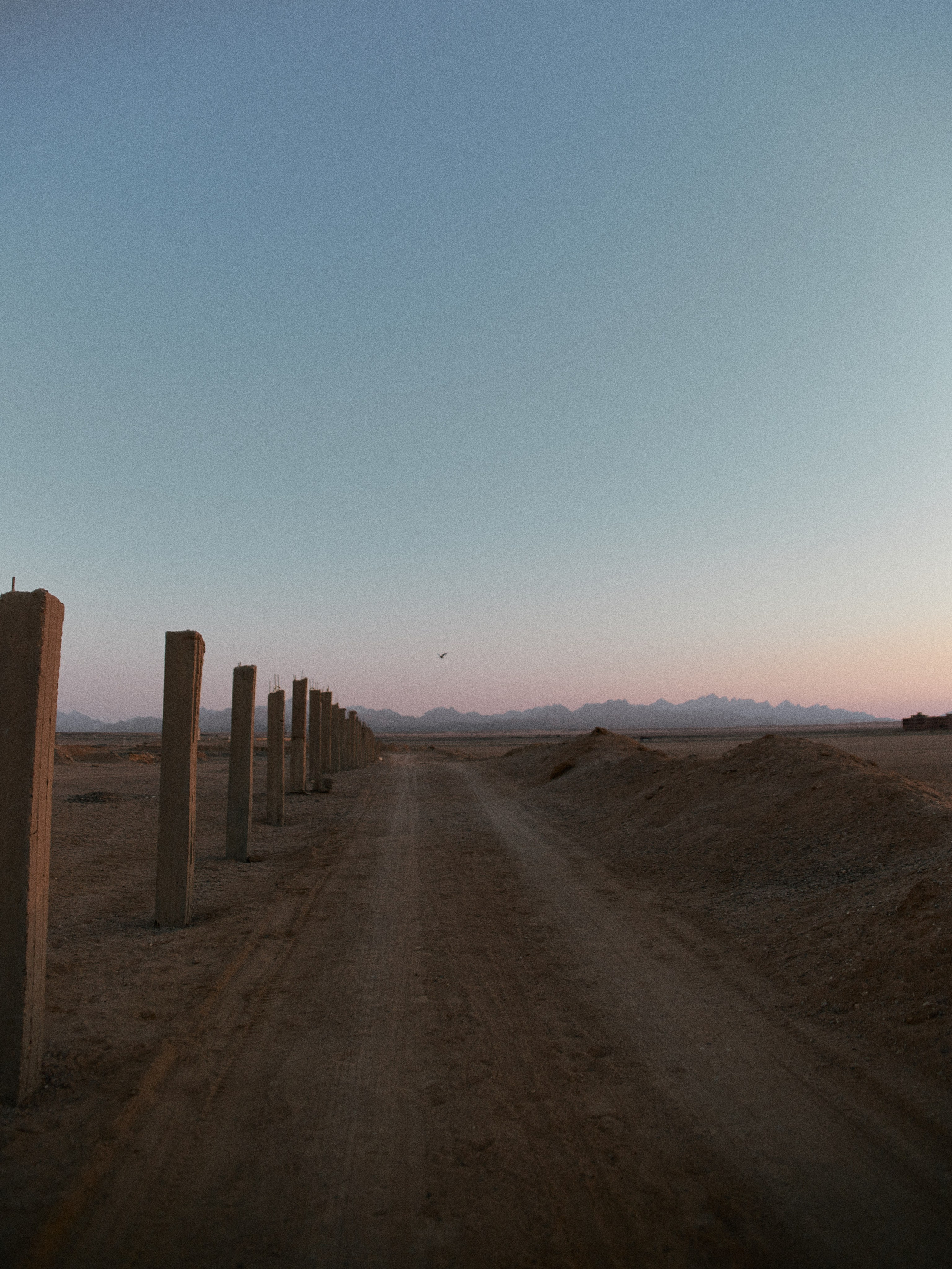 Лошадиная ферма. Jorgis — фотограф в Хургаде / обучение фотографии