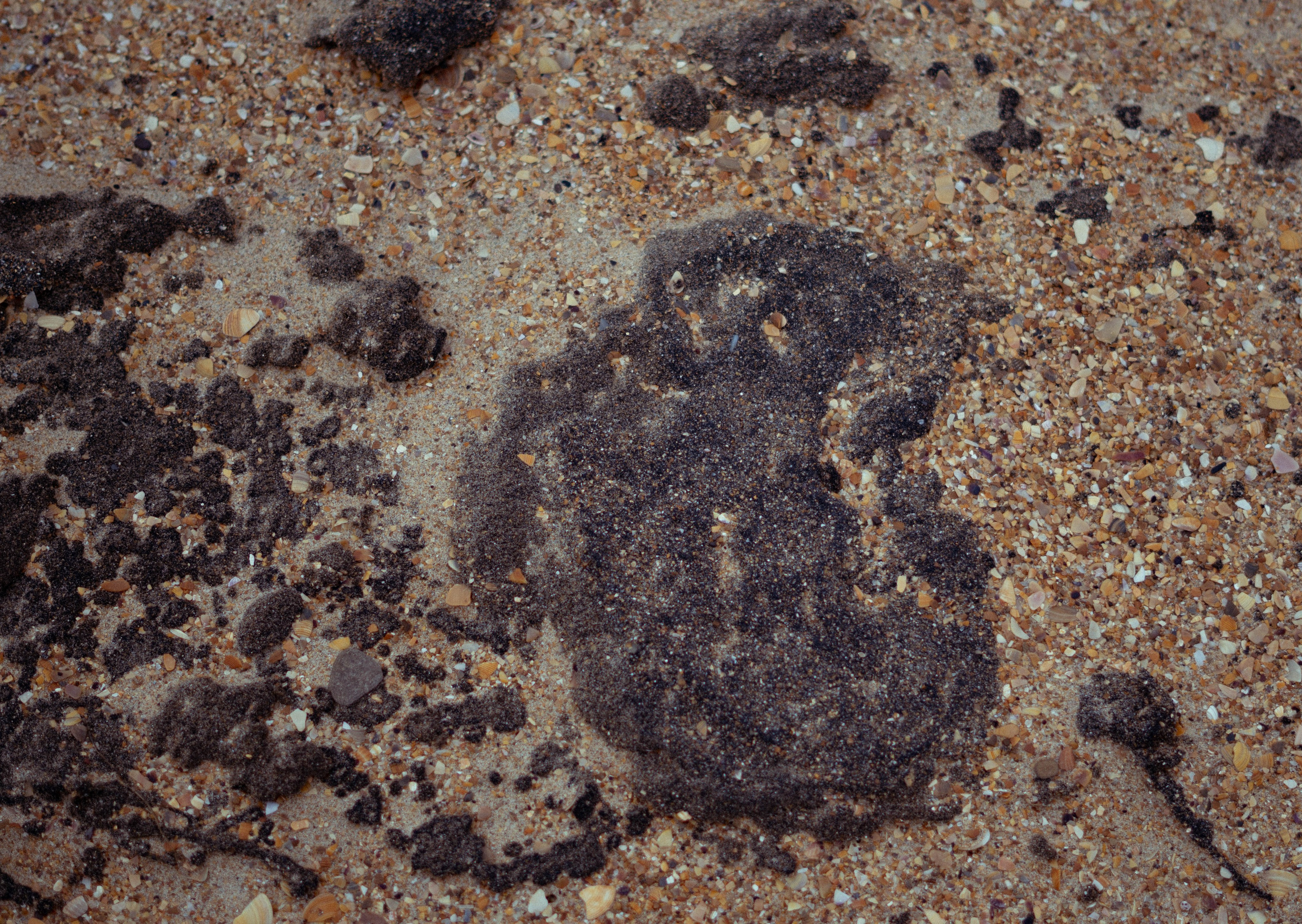 Разлив мазута в Керченском проливе. Фотограф Тбилиси / Photographer Tbilisi