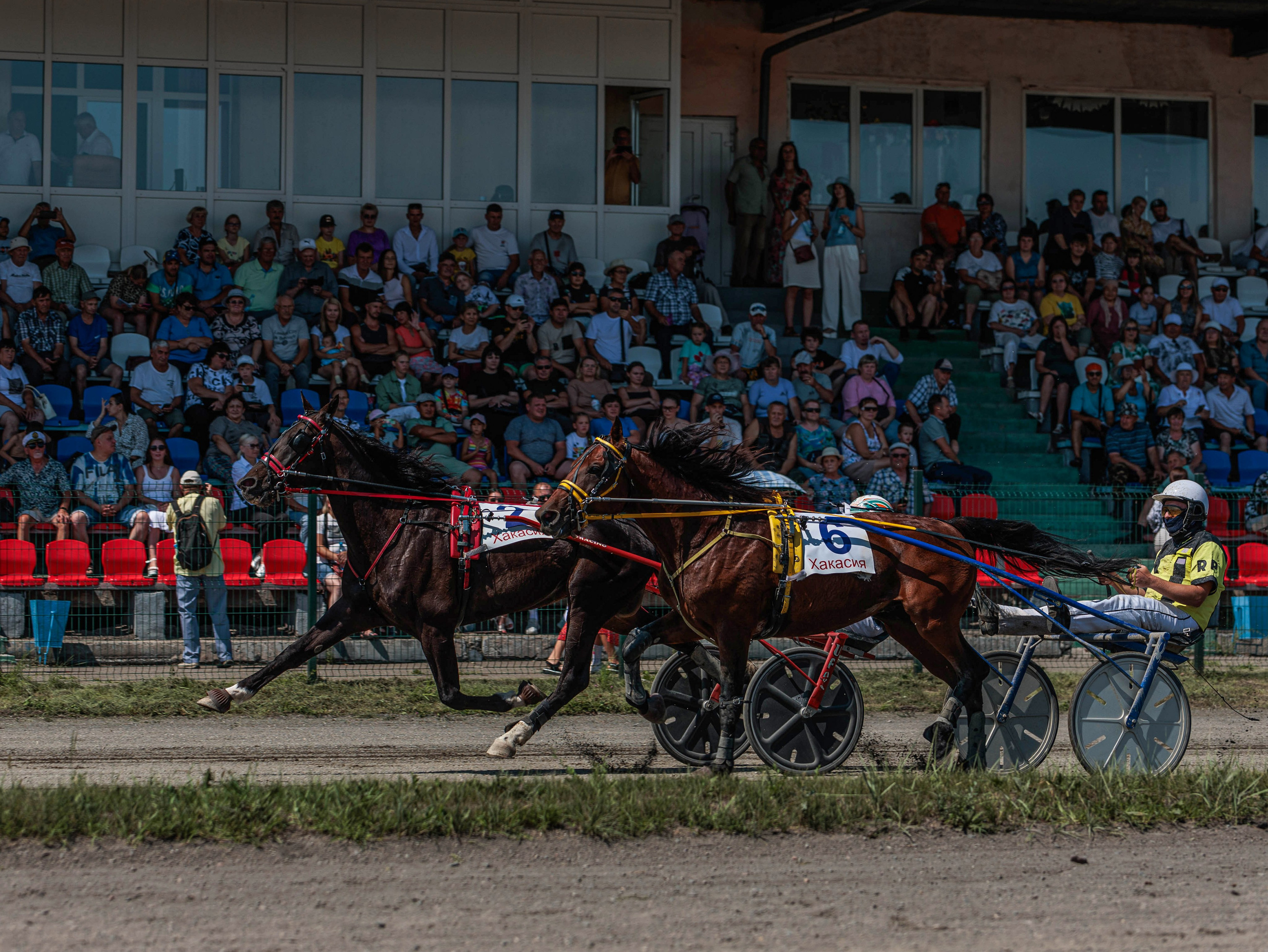 Зарисовки Абаканский ипподром 2025. Конный фотограф в Красноярске — Любовь Похабова