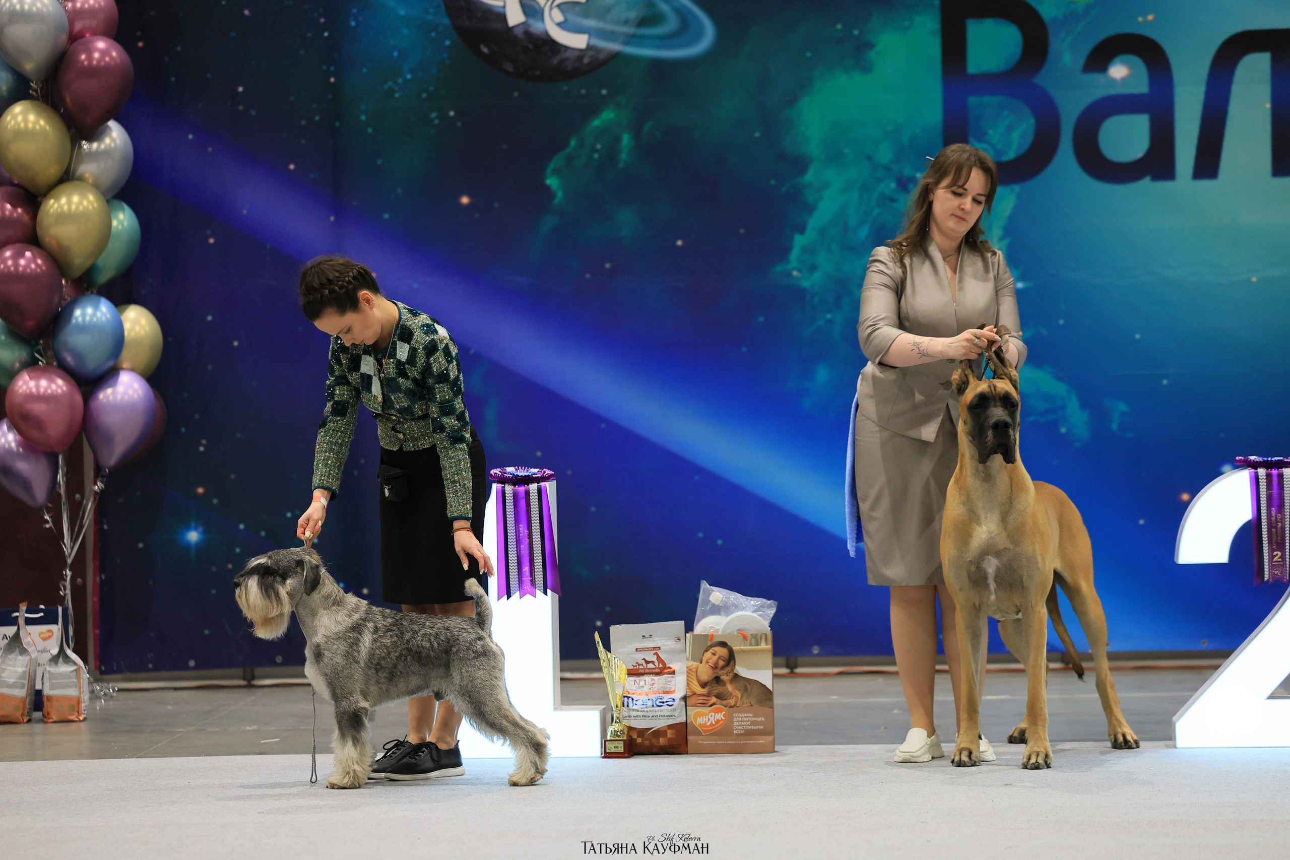 28-29.03.2026 Рейтинговая выставка в Новосибирске. Фотограф Анималист из Новосибирска Татьяна Кауфман