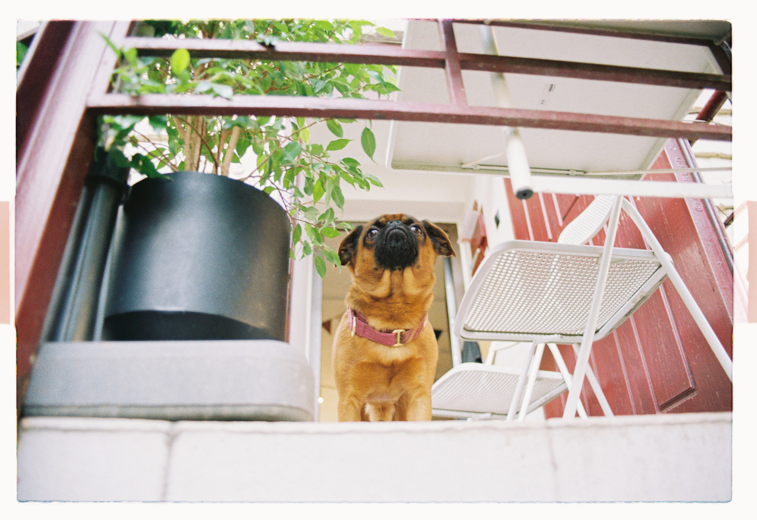 Историю любви Юли и Тина. Главная