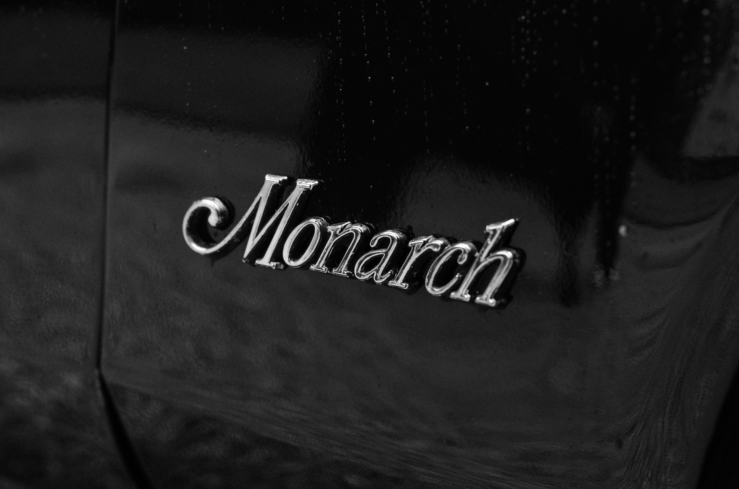 Kronon. Свадебный фотограф в Минске Вадим Бурчик