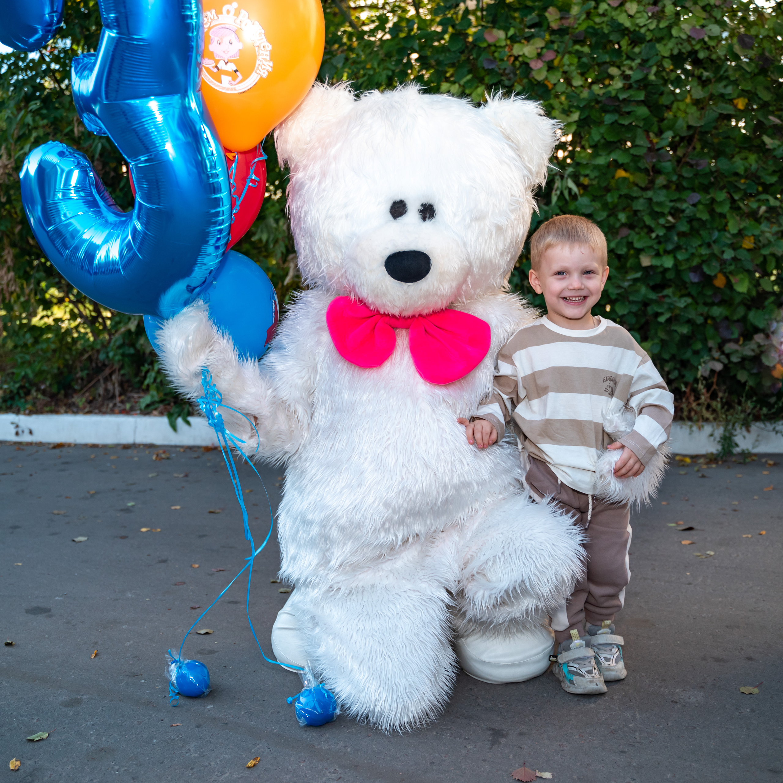 Белый Мишка. Поздравления от Мишки Тедди в Муроме