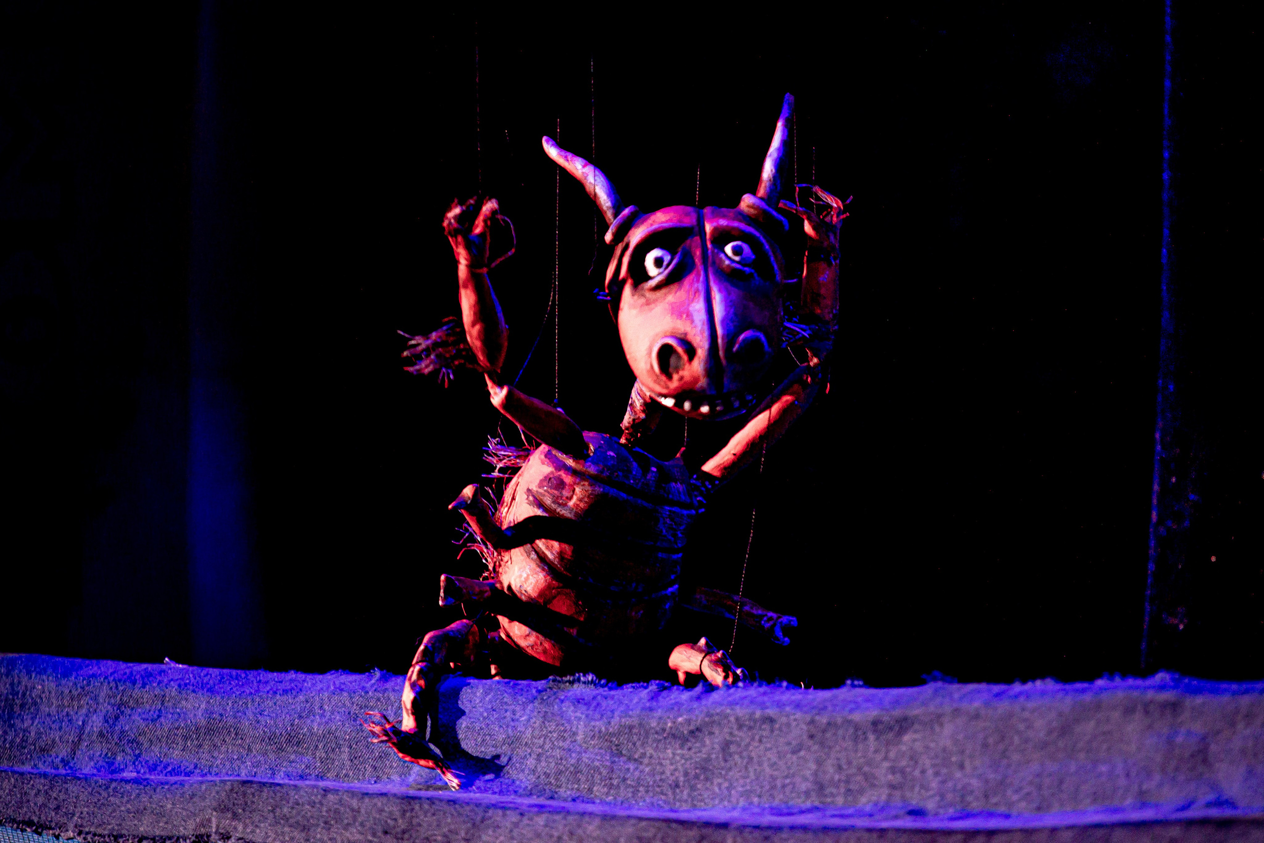 Тараканище спектакль кукольного театра Саквояж — премьера. Фотограф в Сочи Юрий Шептаев