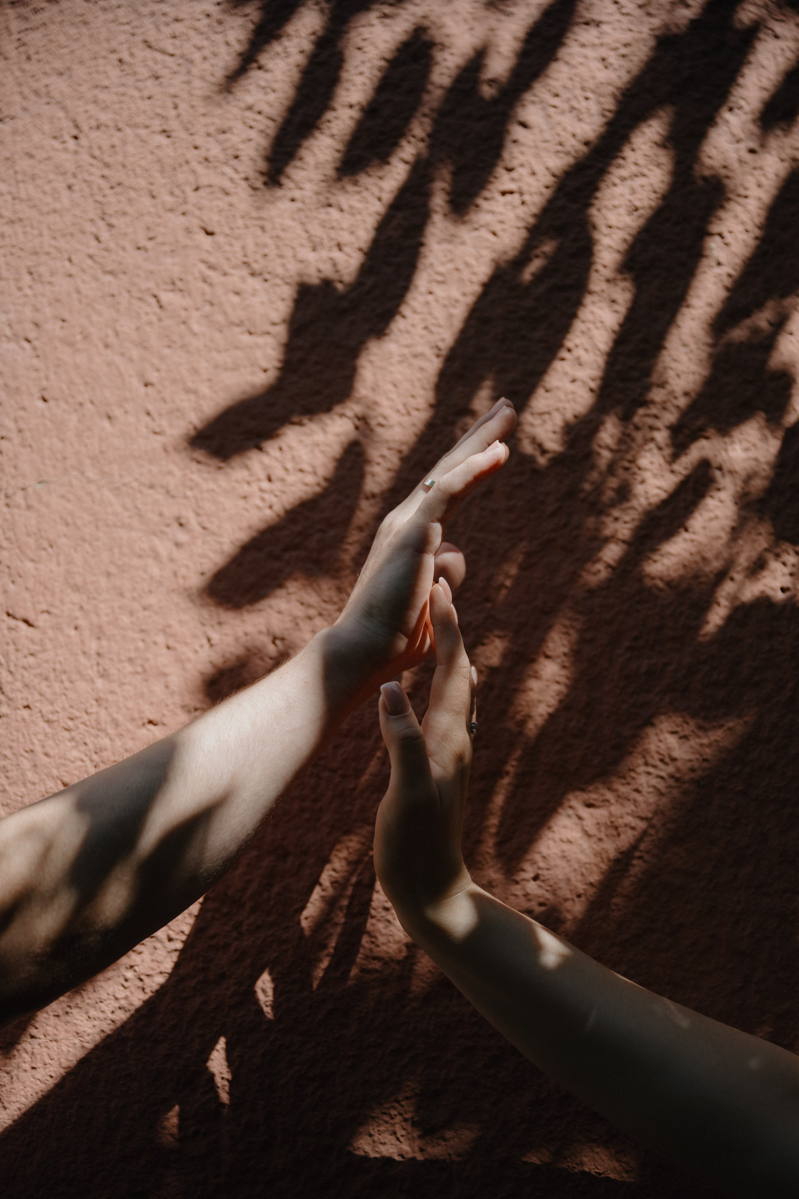 Полина & Михаил