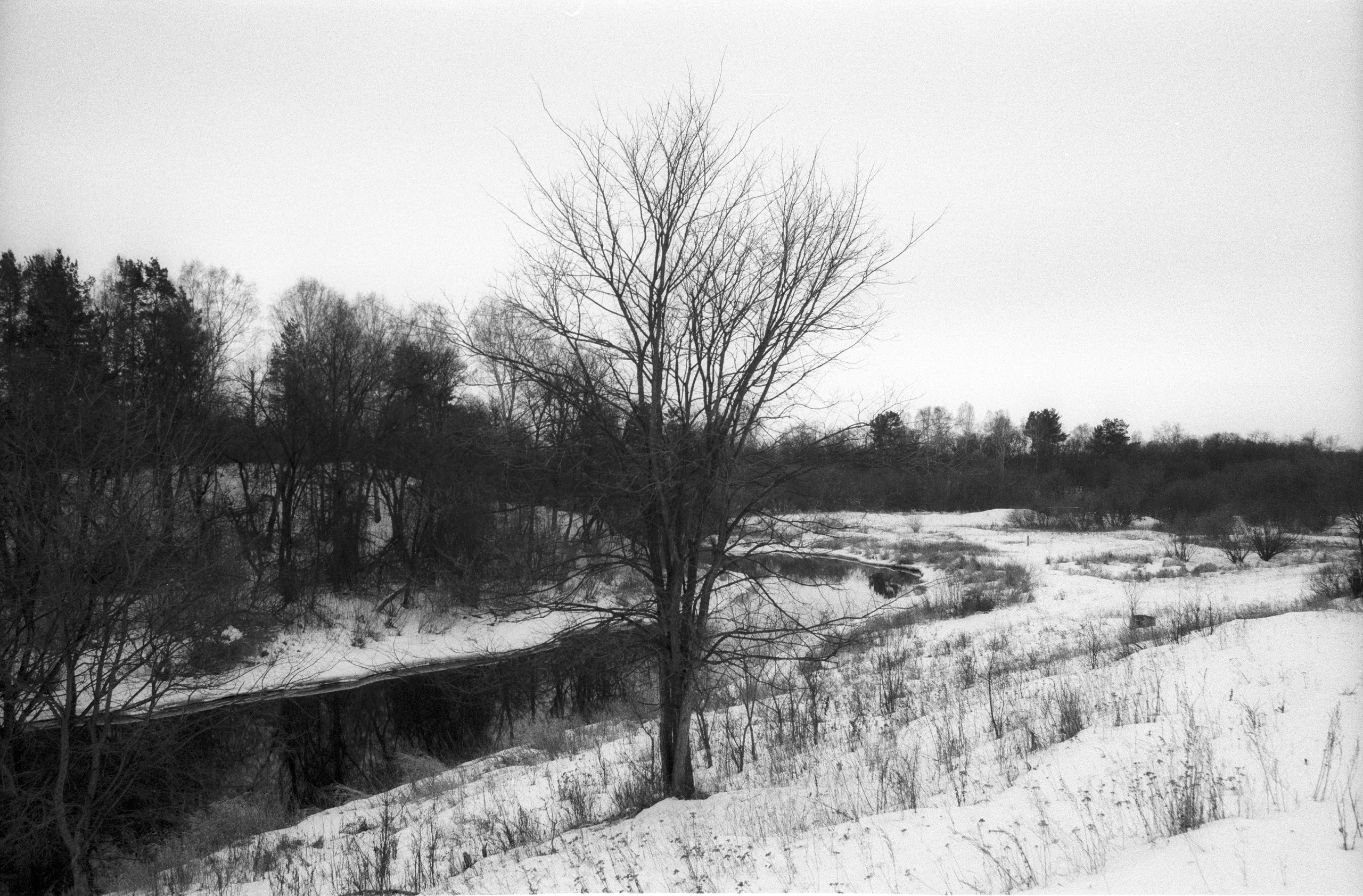 Ноябрь. Фотограф в Санкт-Петербурге Березовский Даниил