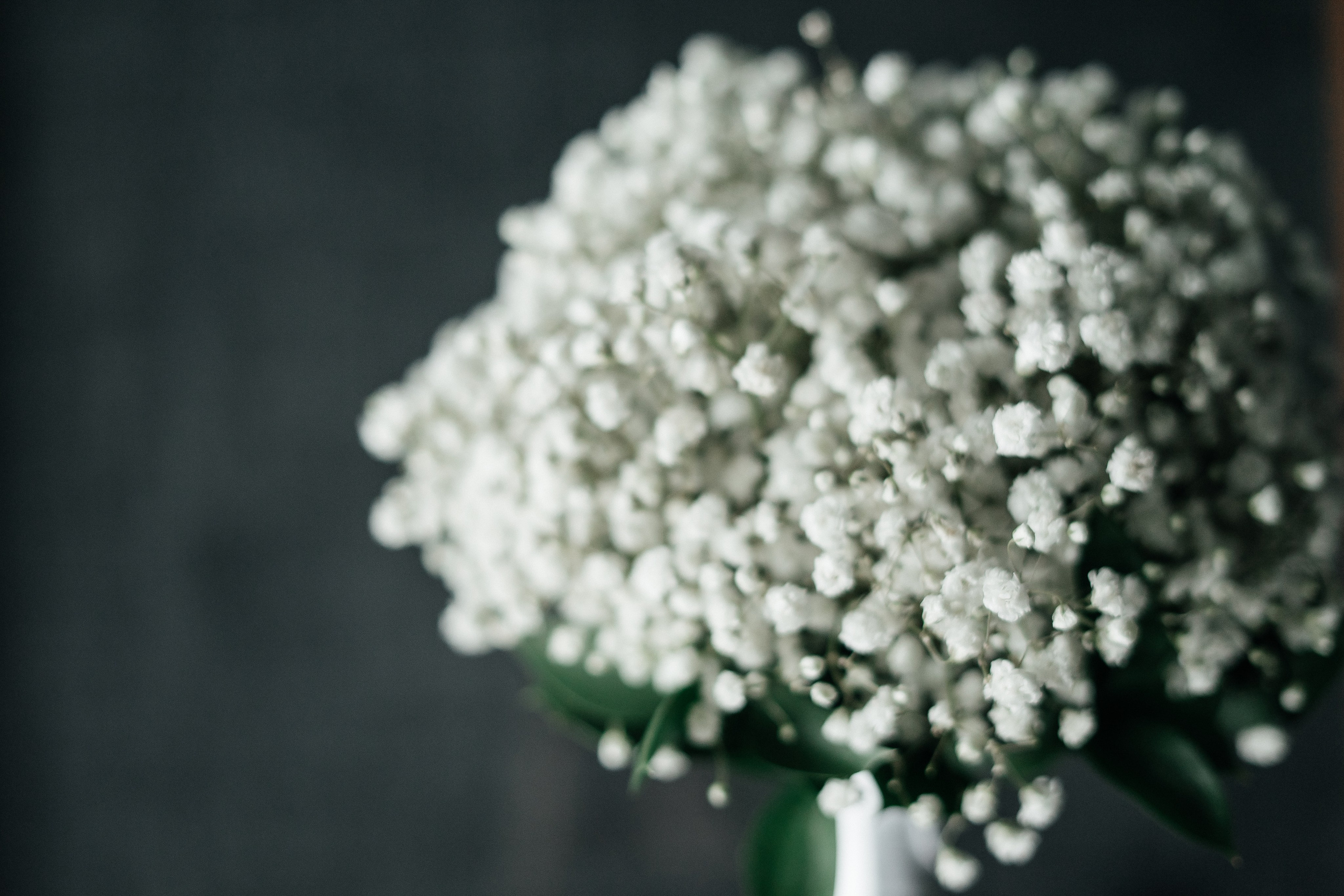 Влад и Женя. Свадебный фотограф Санкт-Петербург Дмитрий Казанцев