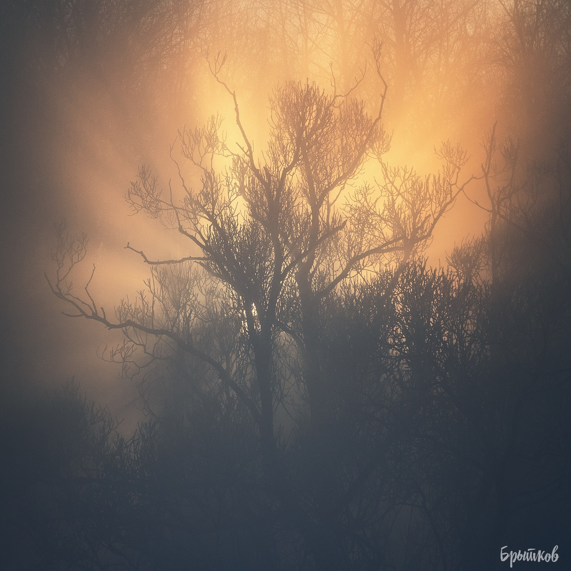 Ручей Деготня. Николай Брытков — фотограф в Туле