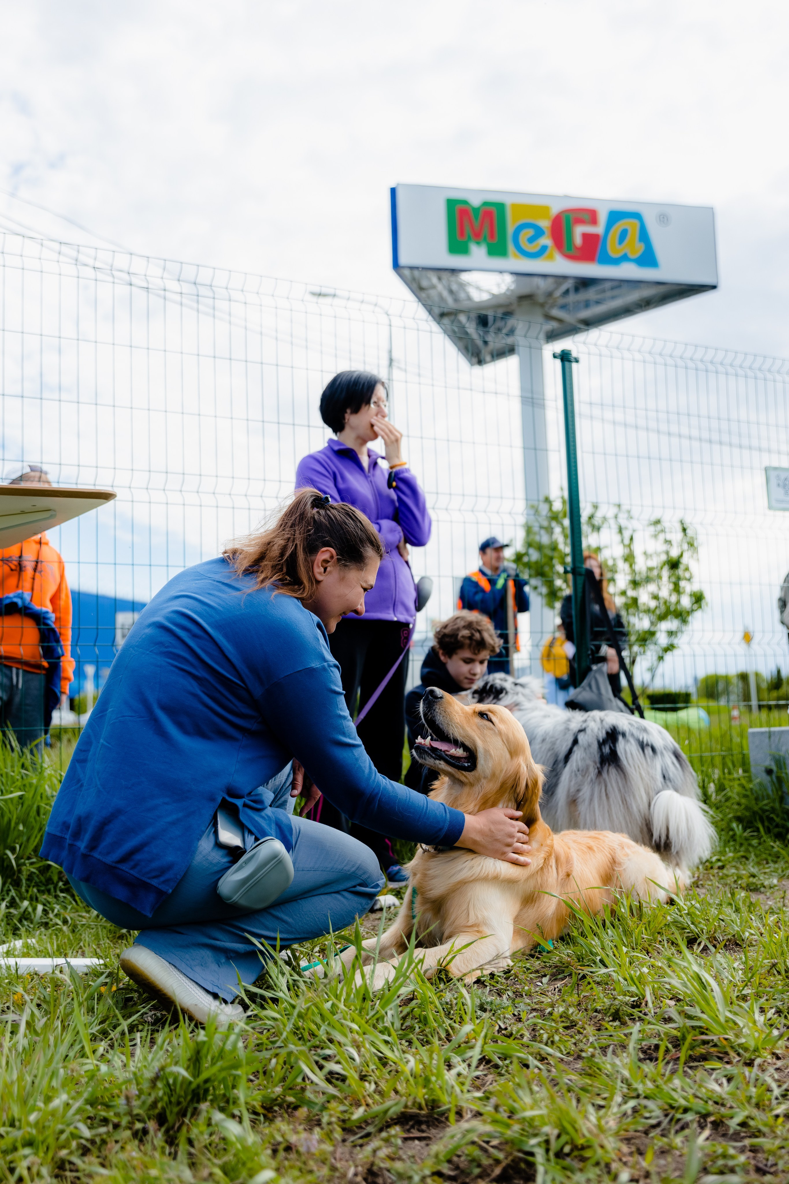 МЕГА | Фестиваль. Свадебный и репортажный фотограф в Омске. Червоткин Никита