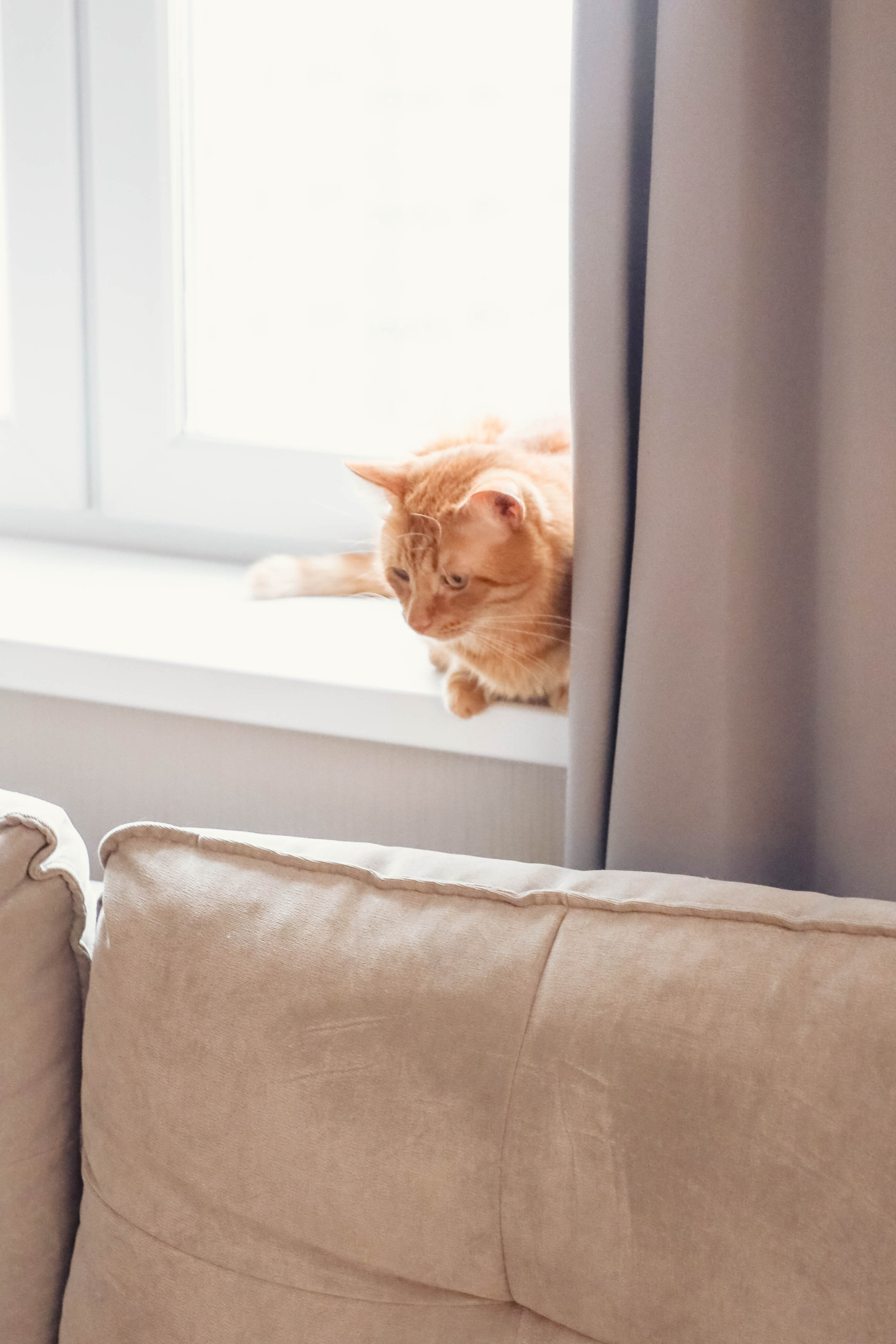 Алена, Артем, Ева & Мила. Семейный, детский, свадебный фотограф в Москве, Люберцах