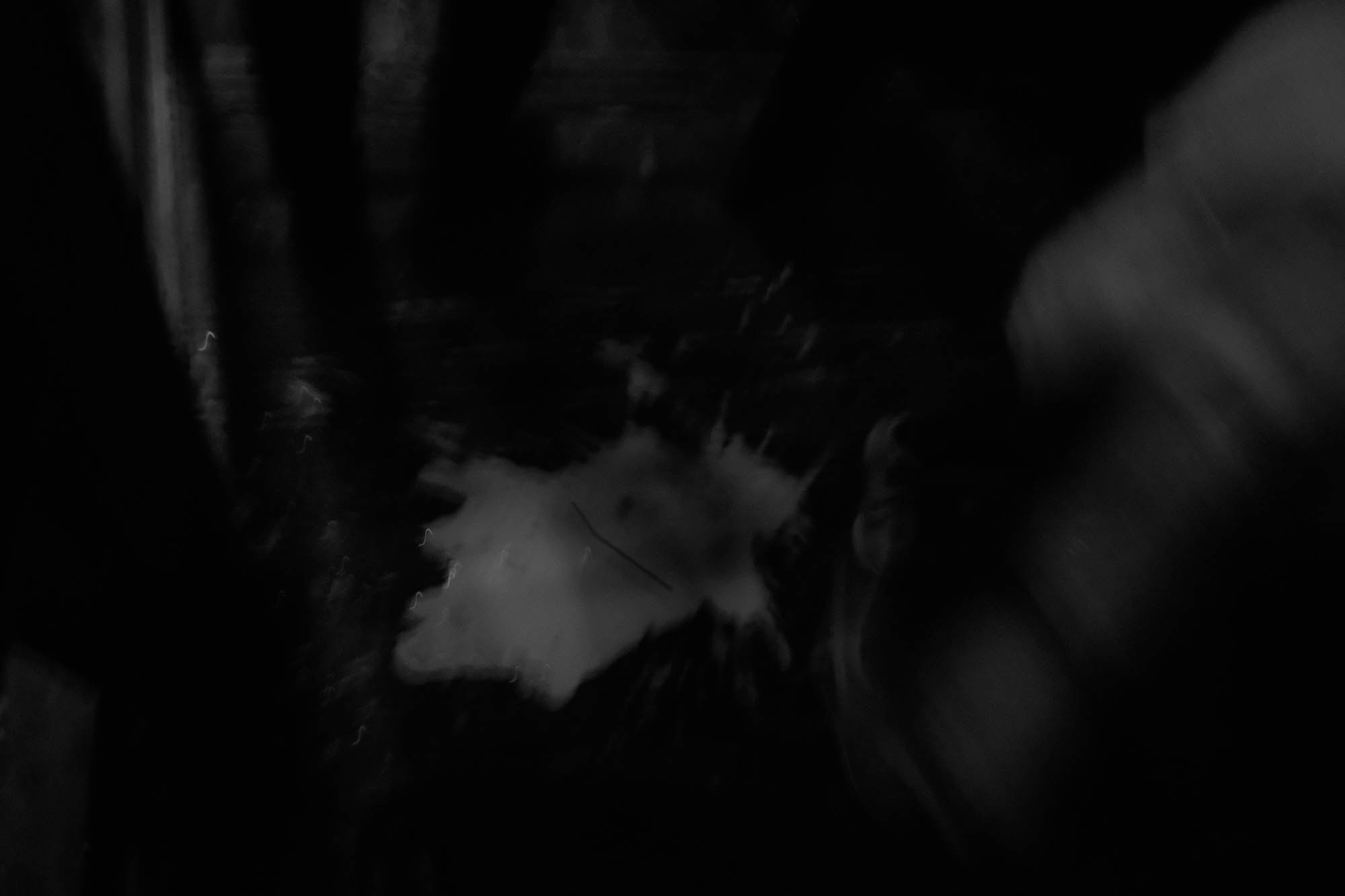 — Provoke Party. Kirillov Egor