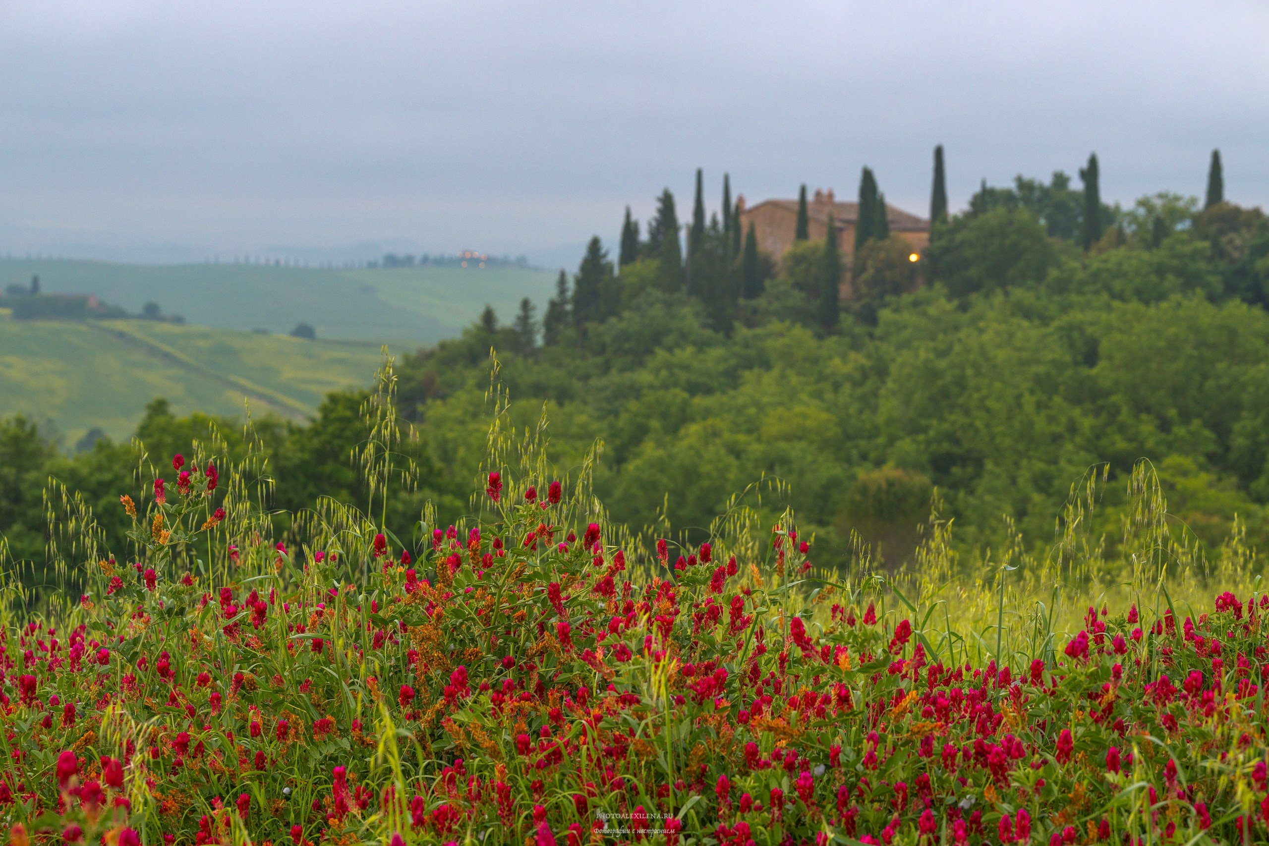Великолепная Тоскана. Авторские стильные фотокартины