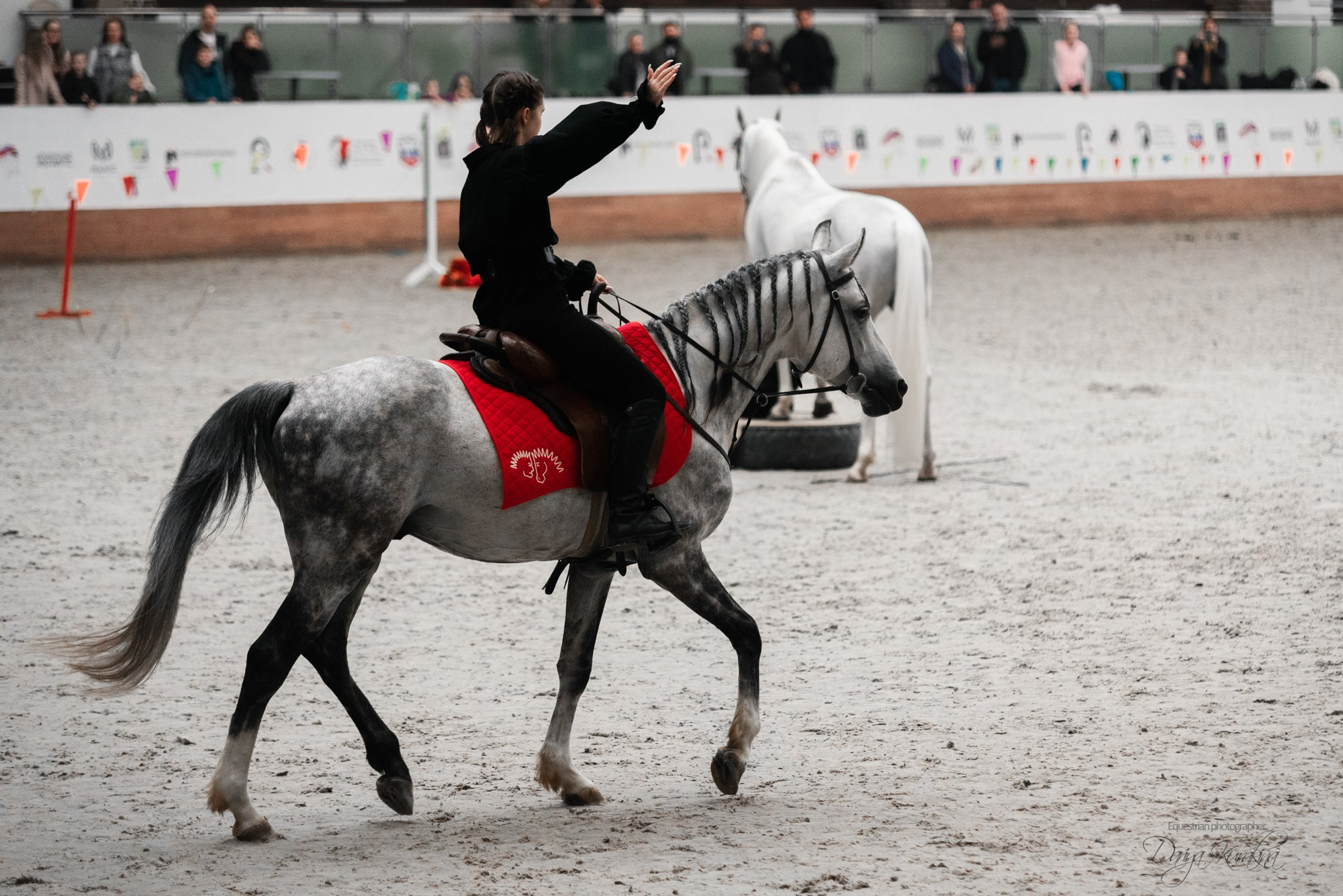8-я международная выставка Конная Россия. Конный фотограф Куракина Дарья • Фотосессии с лошадьми