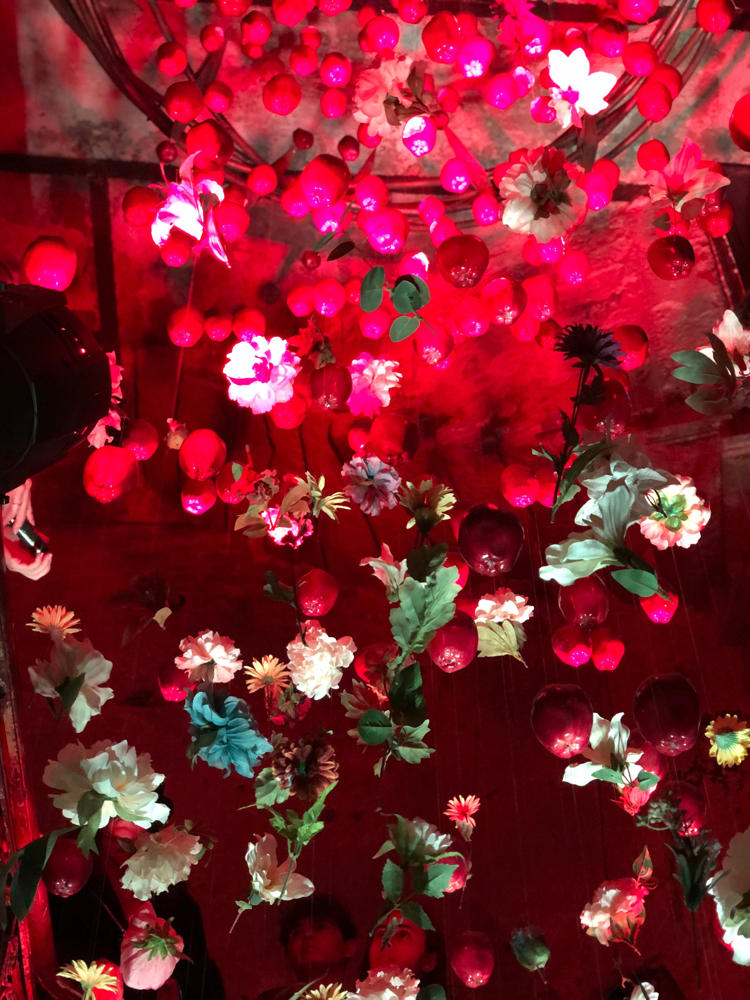 Октябрь. Семейный, Свадебный фотограф СПБ Питер— Романова Екатерина