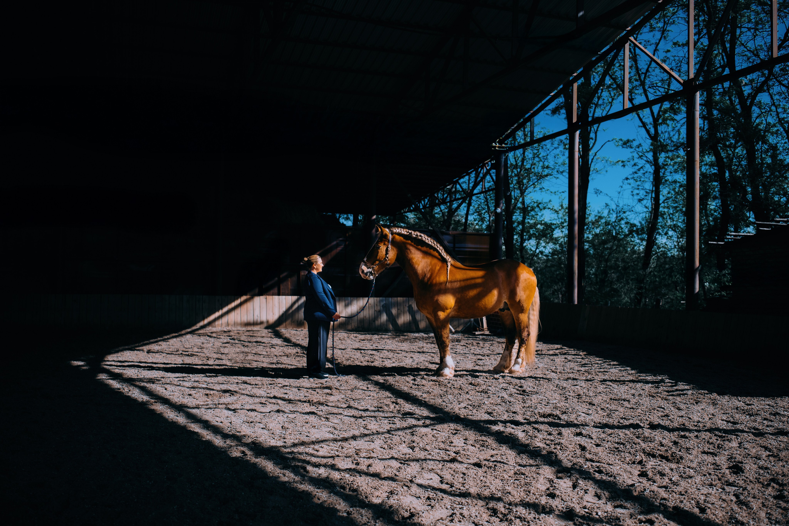 Маша и Боксер. Фотограф-анималист Ксендзова Кристина