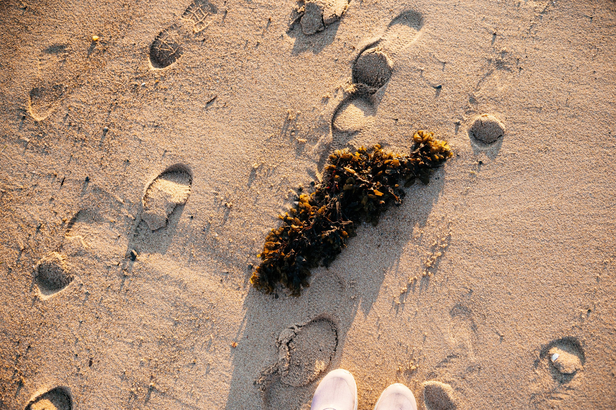 X-WATERS Arctic. Фотограф Москва