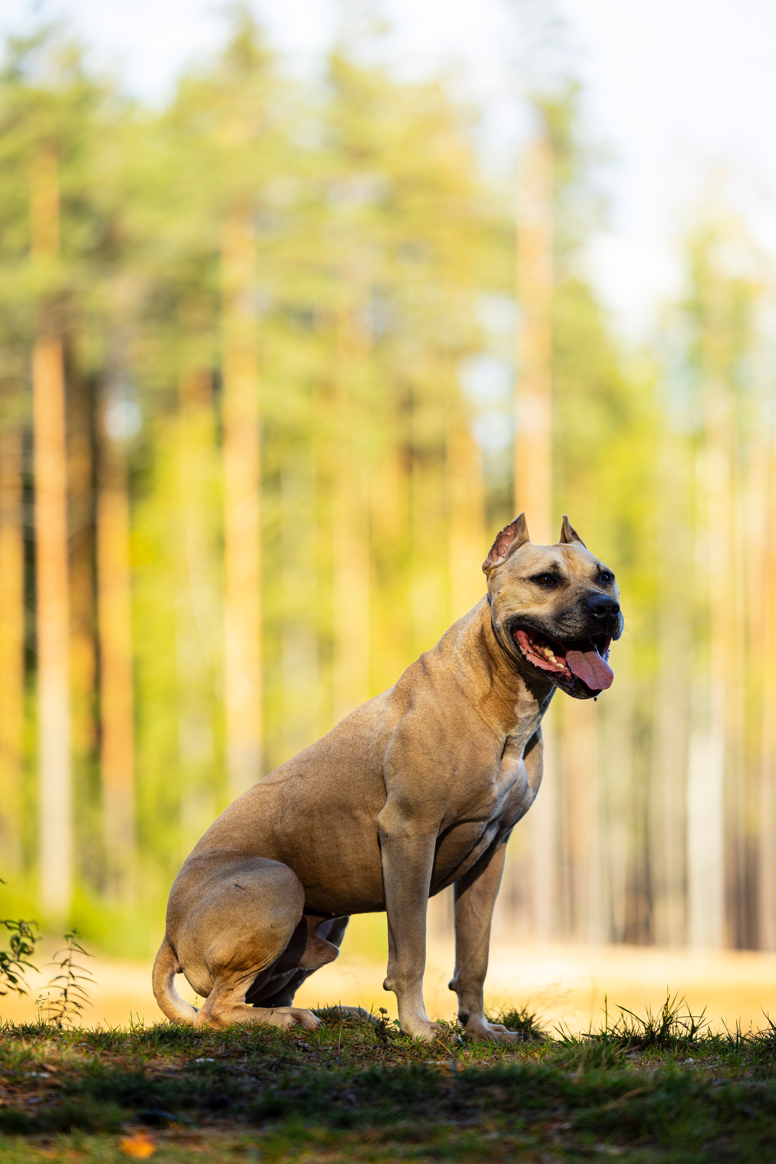 Фобос. Фотограф-анималист Анна Маринич