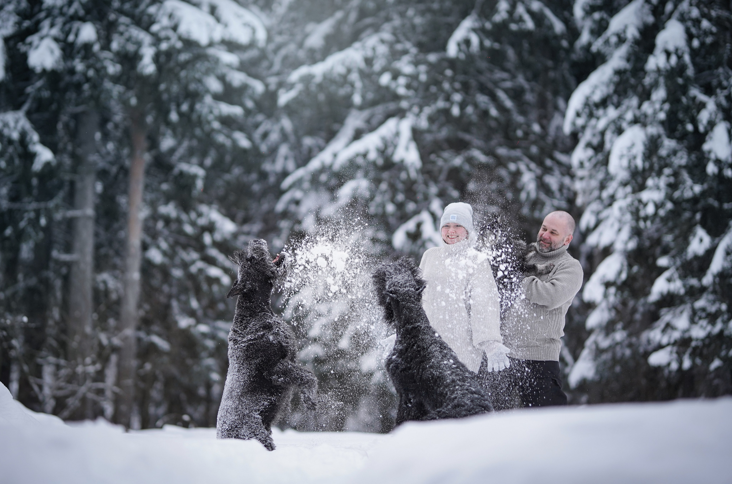 Оля Миша и шнауцеры. Фотограф-анималист в Санкт-Петербурге Яна Мартынова