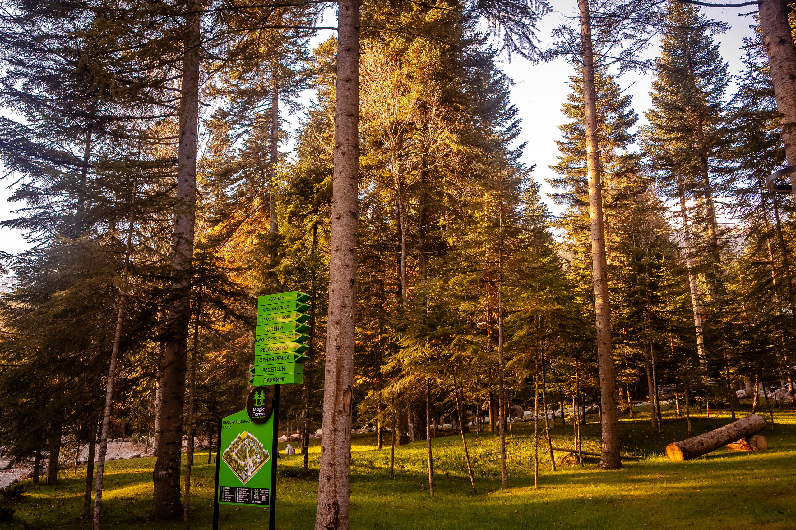 Интерьерная съёмка. Фото и видео съёмка для Бизнеса и Event