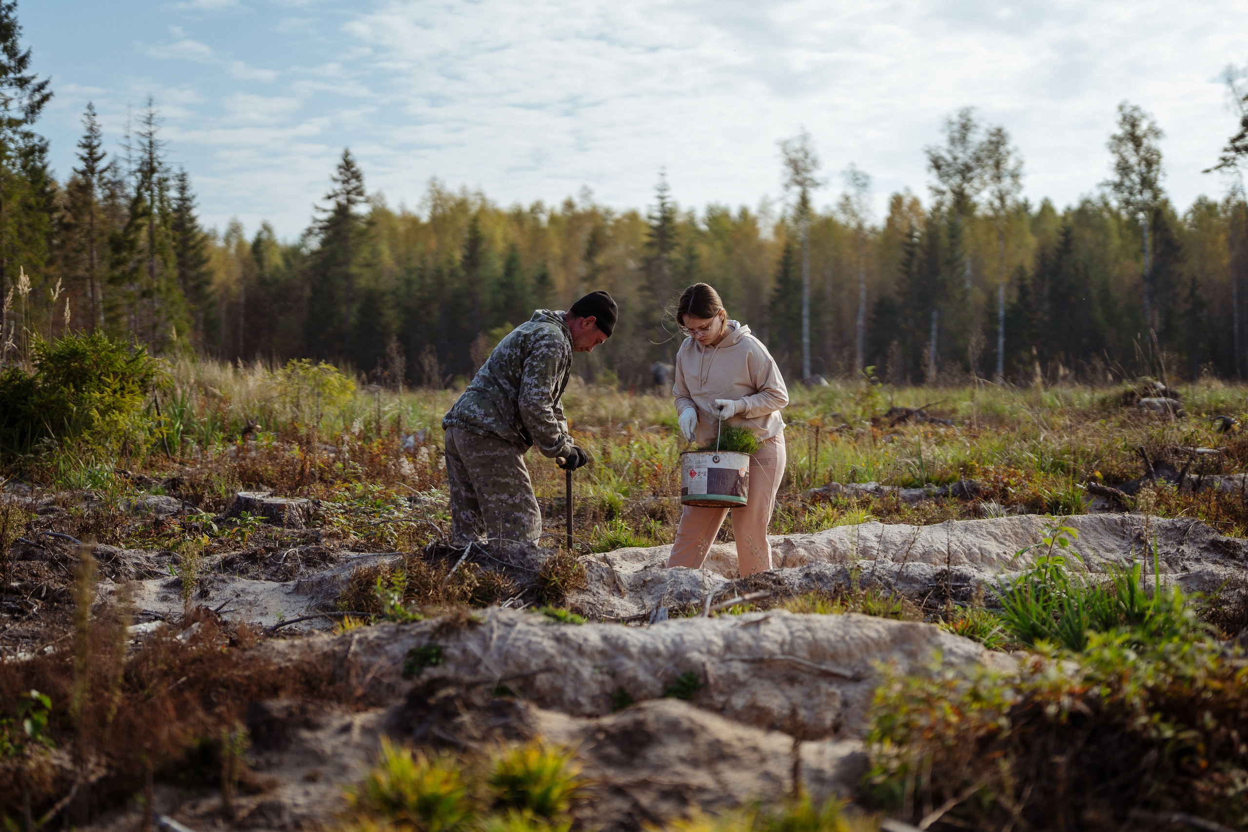 СБЕР · ЭКА · Посадка сеянцев. Владимир Вершинин, тот самый свадебный видеограф