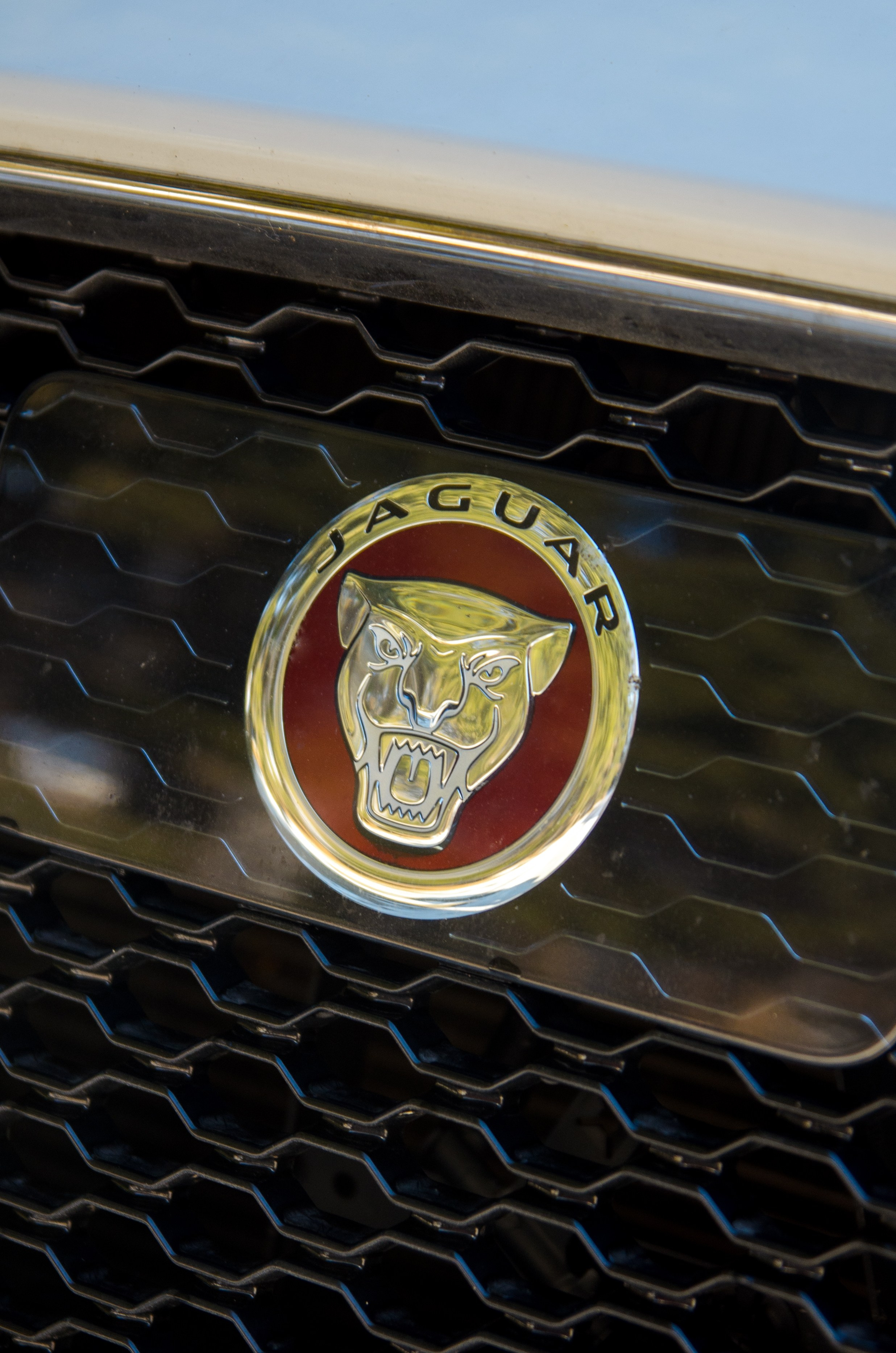 Фото для продажи авто Jaguar F-Pace 23'. Фотограф, видеограф и пилот дрона на Байкале