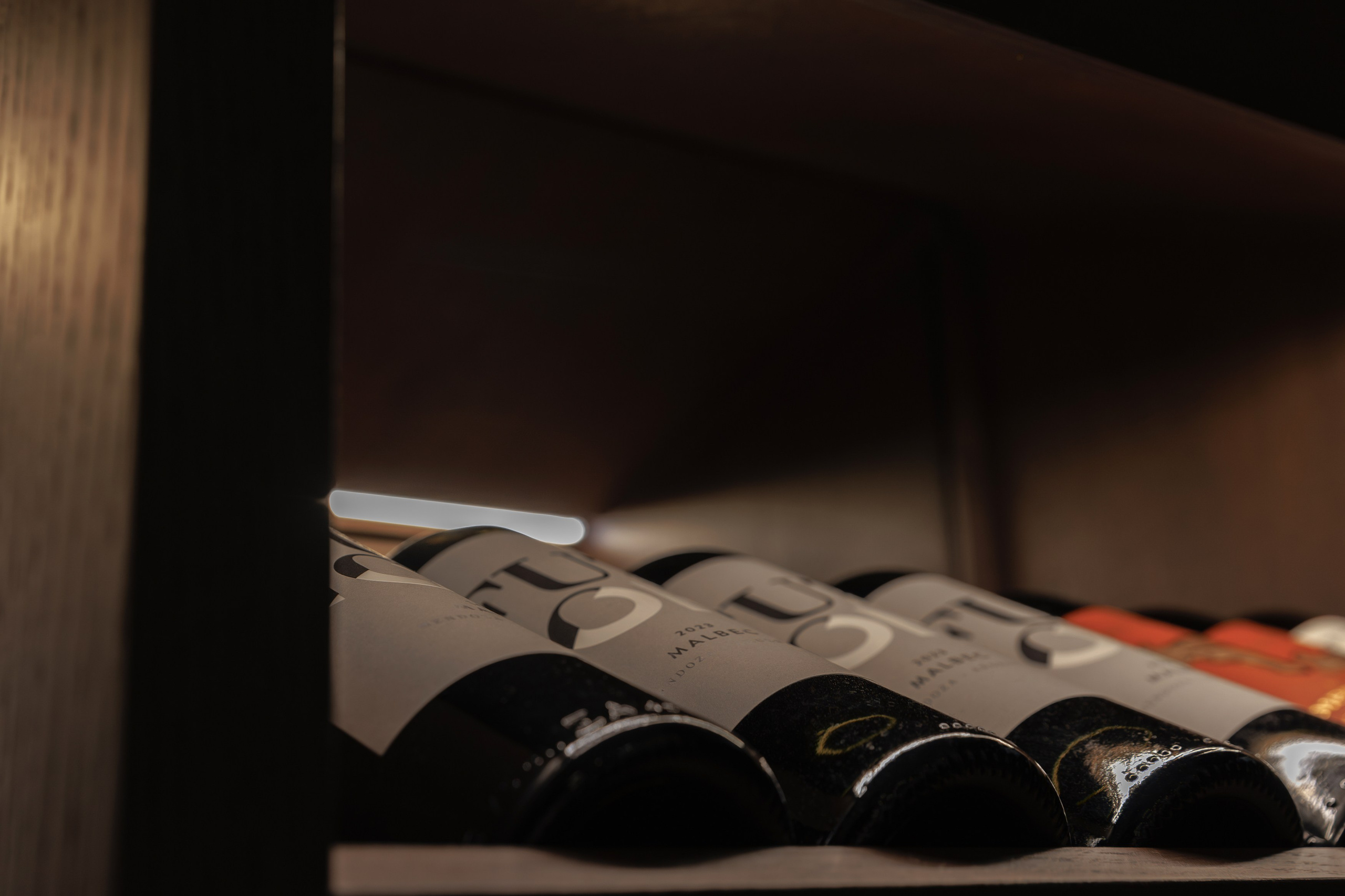 OFRIS. Репортажный фотограф в Санкт-Петербурге Жолудев Владислав