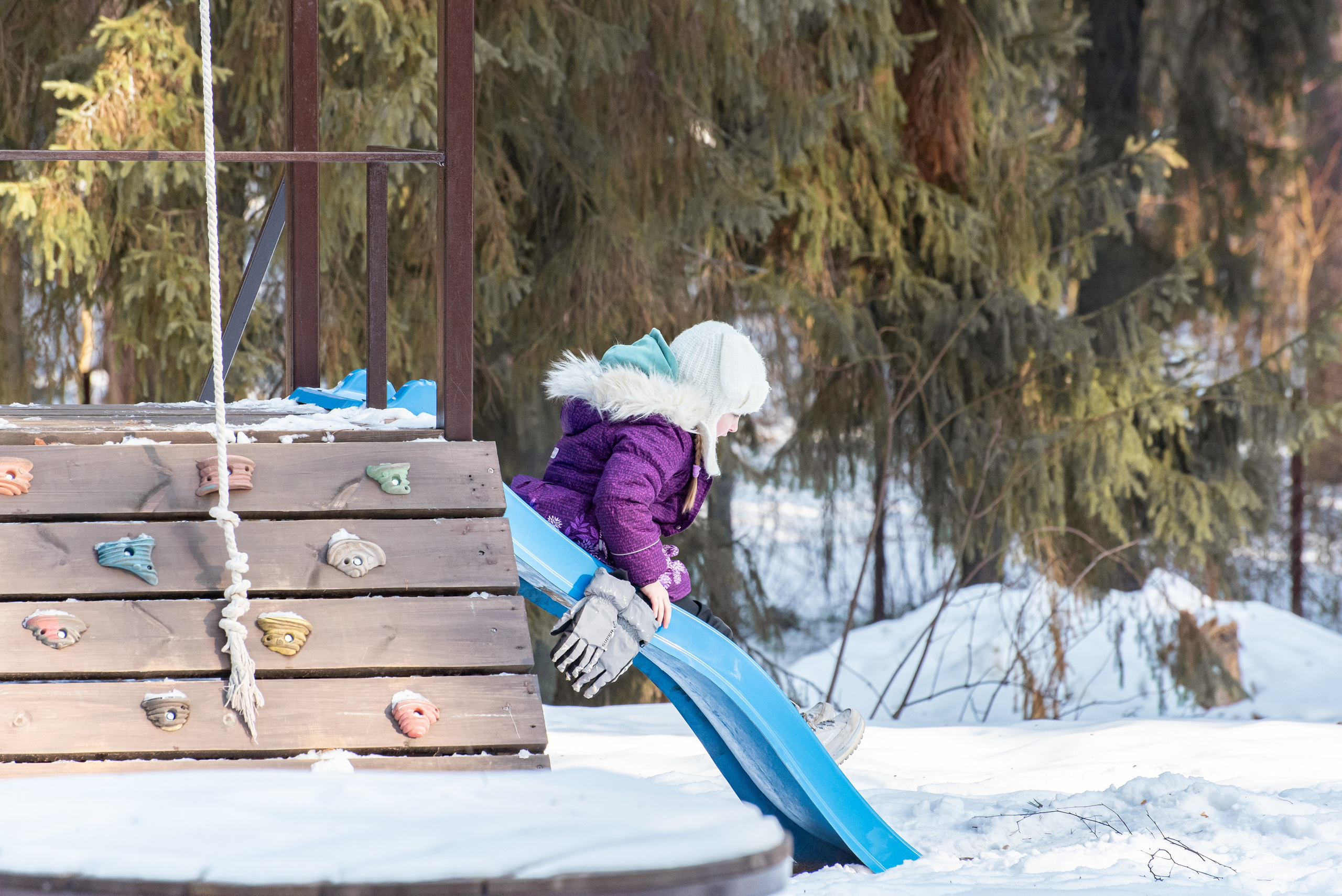 Фотосъёмка с собаками в Кинологическом лагере. Фотограф Макс Огурцов в Нижнем Новгороде