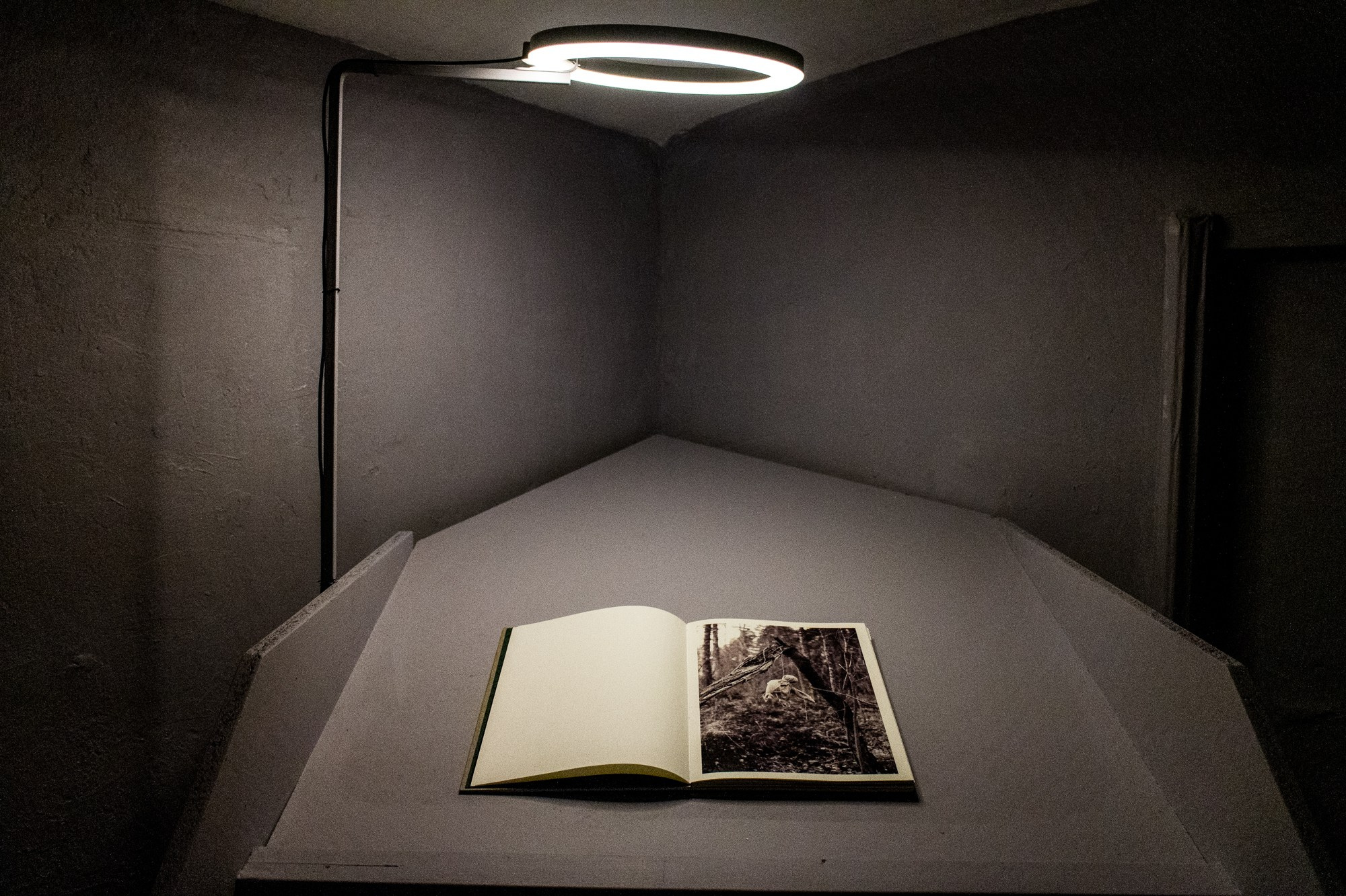 НеНеМу, 2023 г.