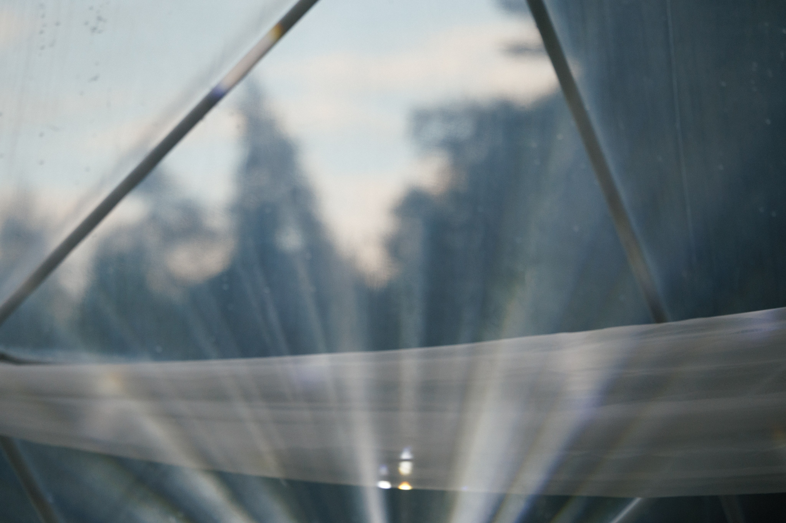 Марина & Лёша. Свадебный и семейный фотограф в Твери, Москве, Санкт-Петербурге