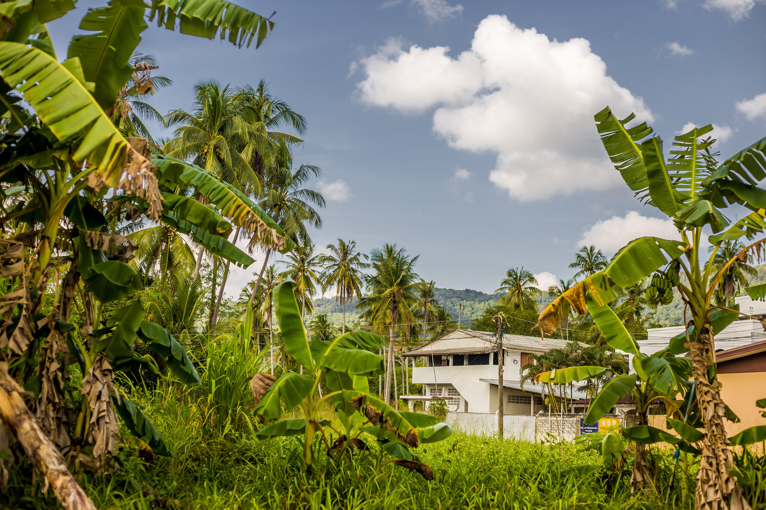 Thailand 2023, Samui. Art Photographer