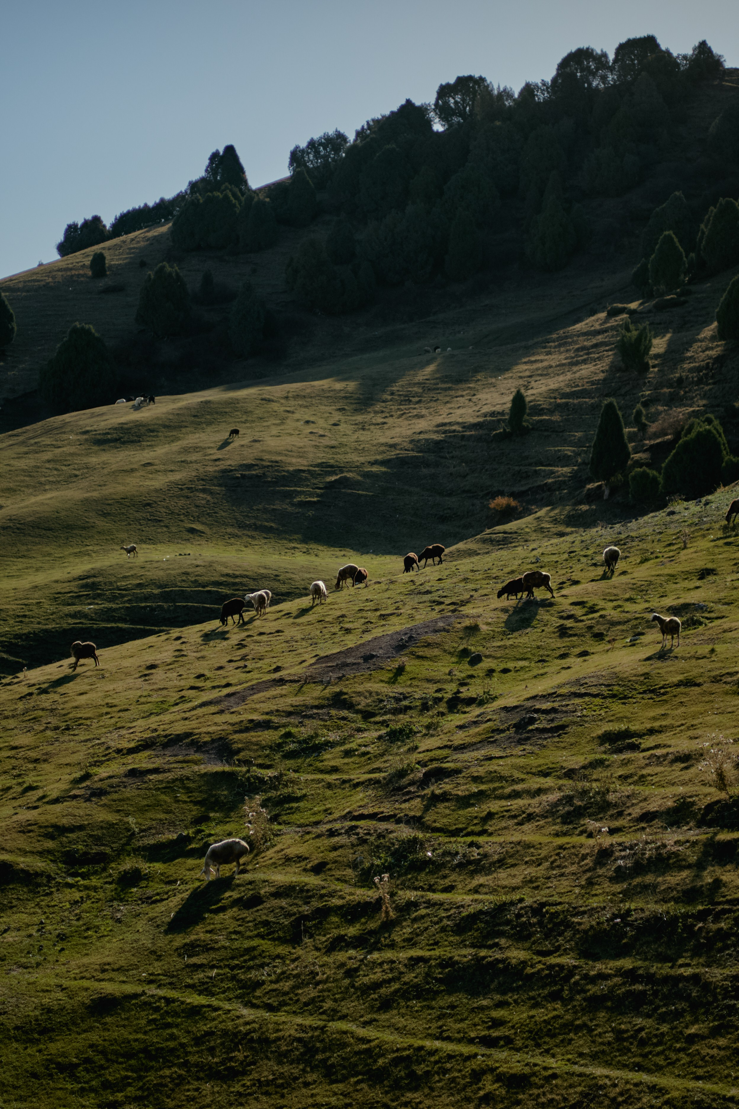Кыргызтан. Профессиональный Фотограф во Владимире, в Москве и в Суздале — Полина Романычева