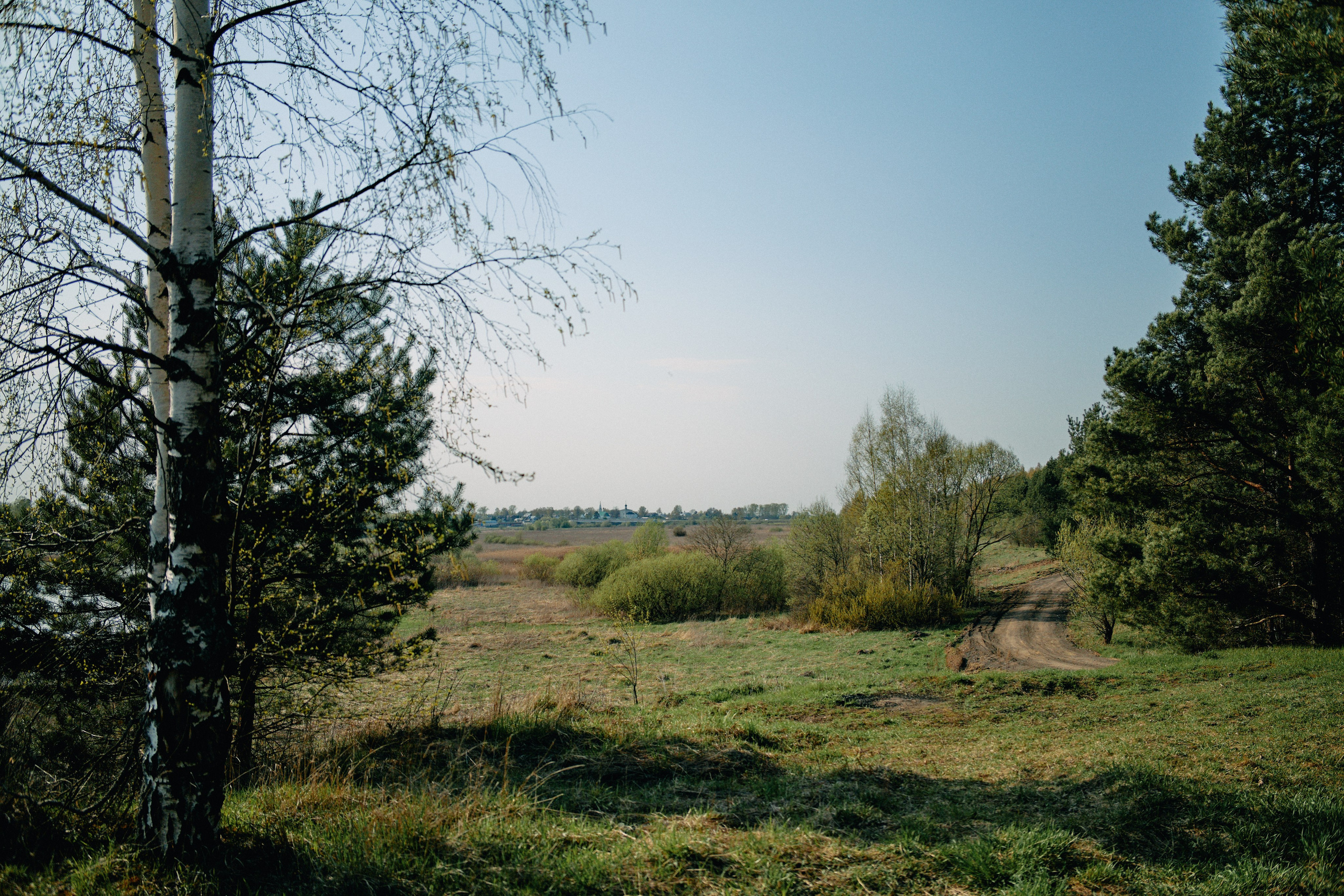 Бутик-отель Поле летом. Профессиональный Фотограф во Владимире, в Москве и в Суздале — Полина Романычева