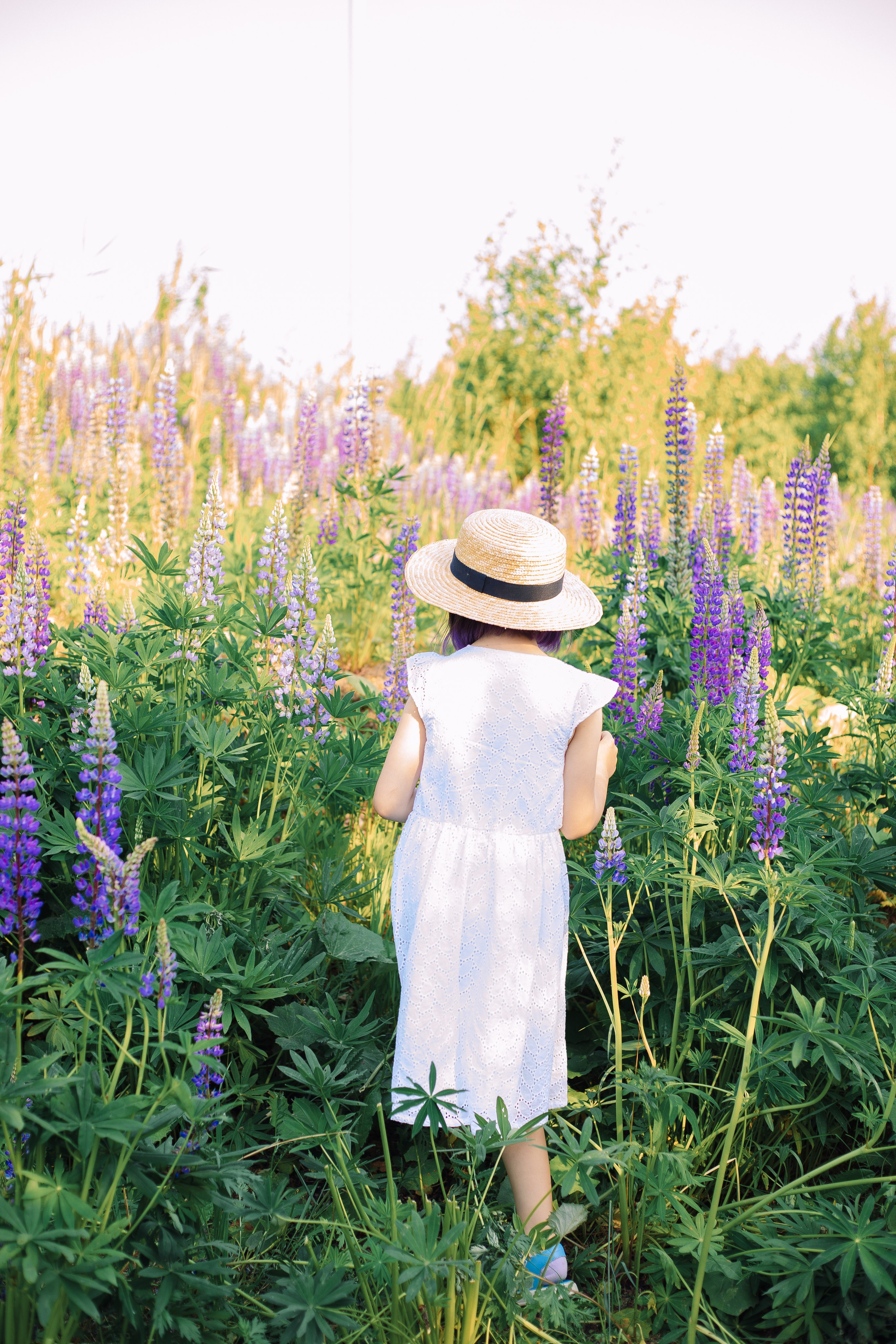 Фотосессия мамы и дочки в люпинах. Фотограф в Санкт-Петербурге, Анна Скворцова