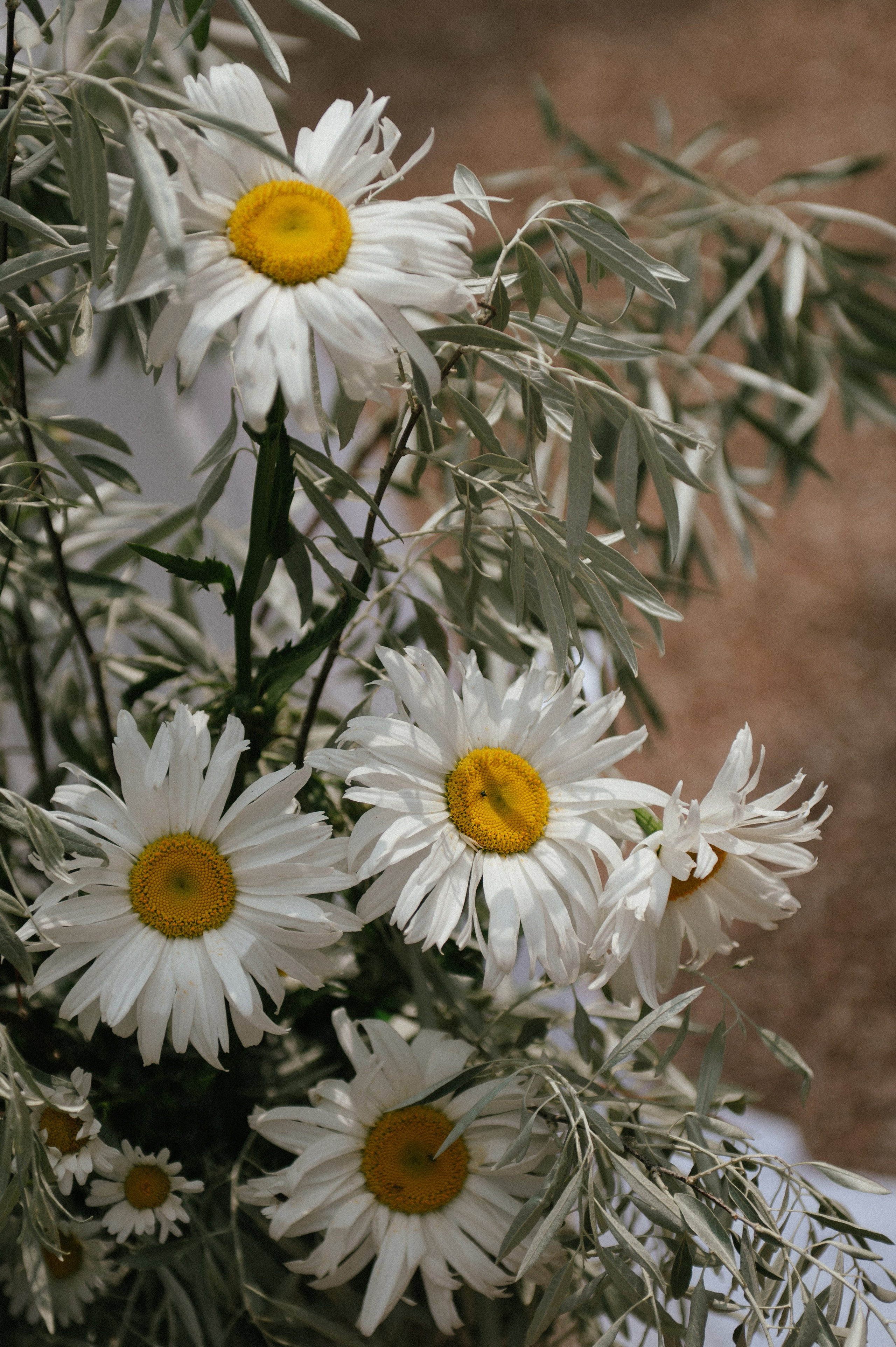 12.06.25. Свадебный, женский, семейный фотограф в Севастополе Юлия Мошенко