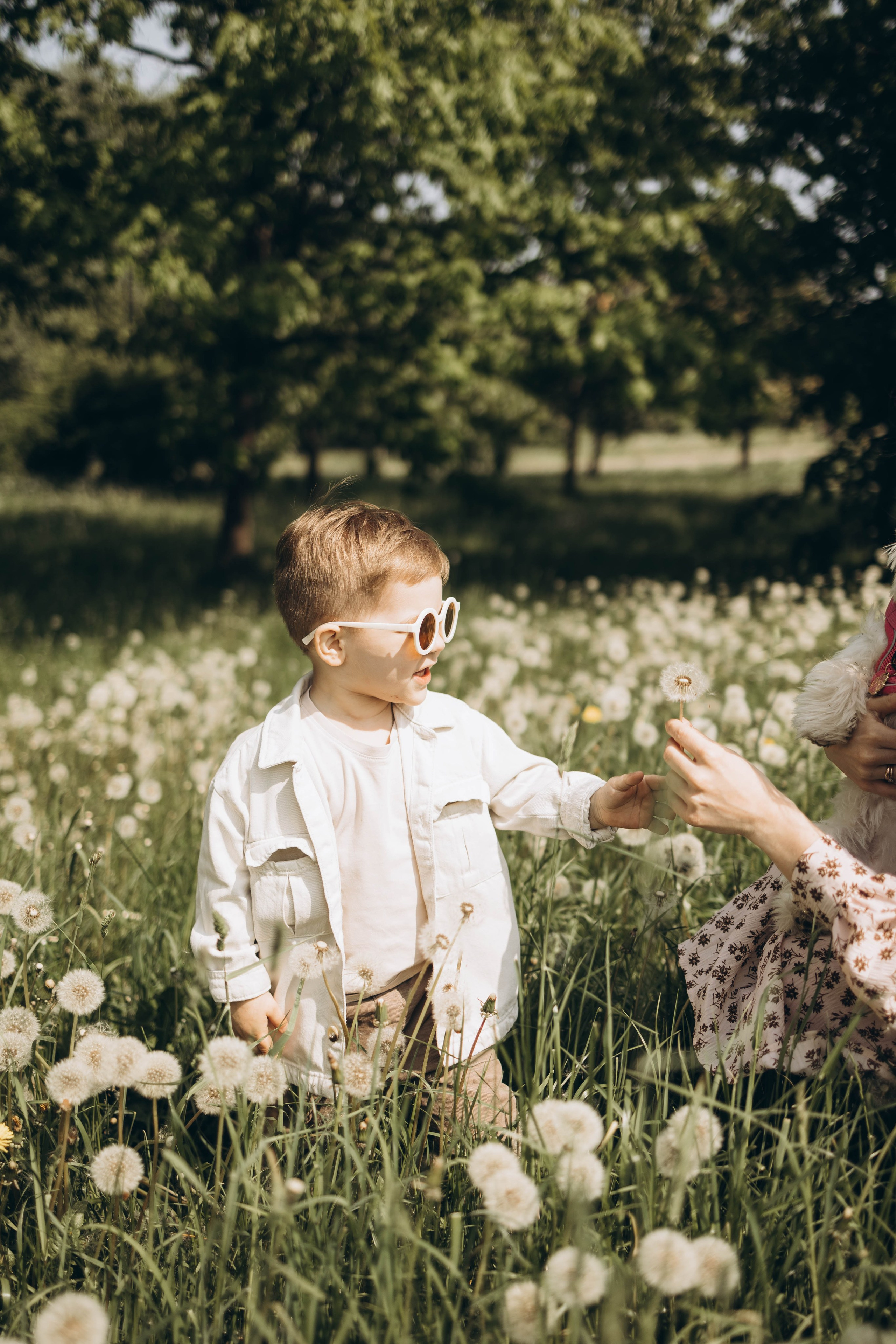 Полина, Дима, Тёма и Мили. Семейный фотограф в Москве Виктория Ястребинская