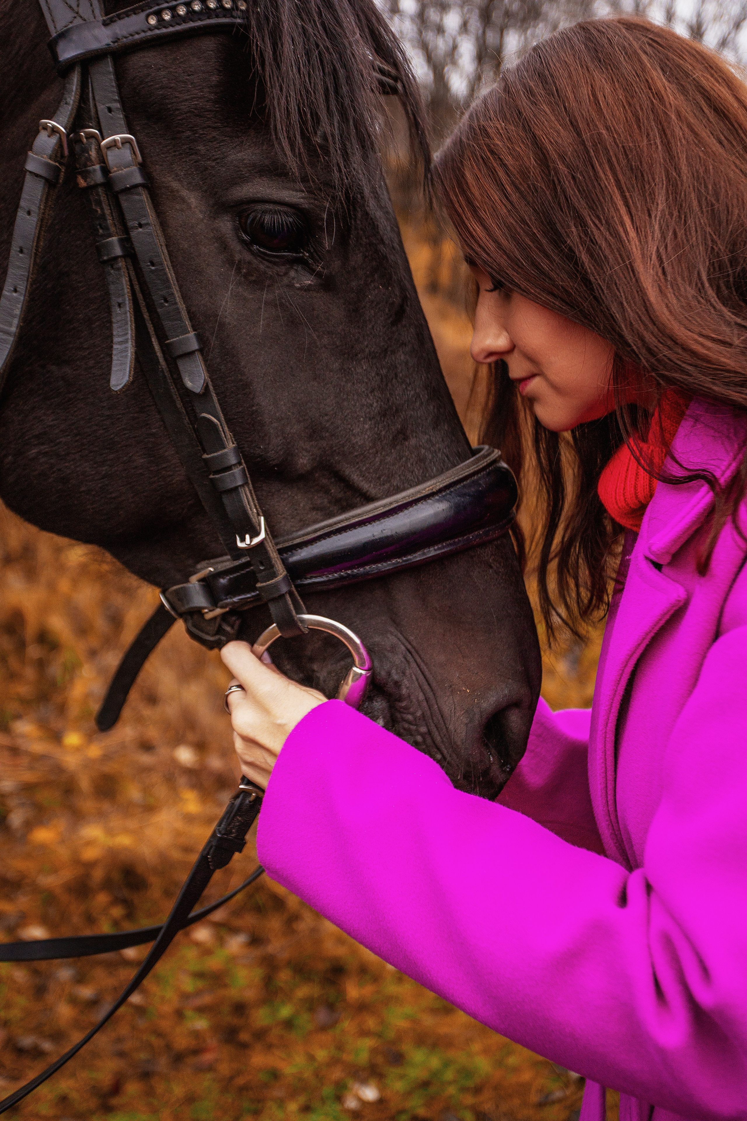 Horses. Фотограф Мурманск Лилия Маер
