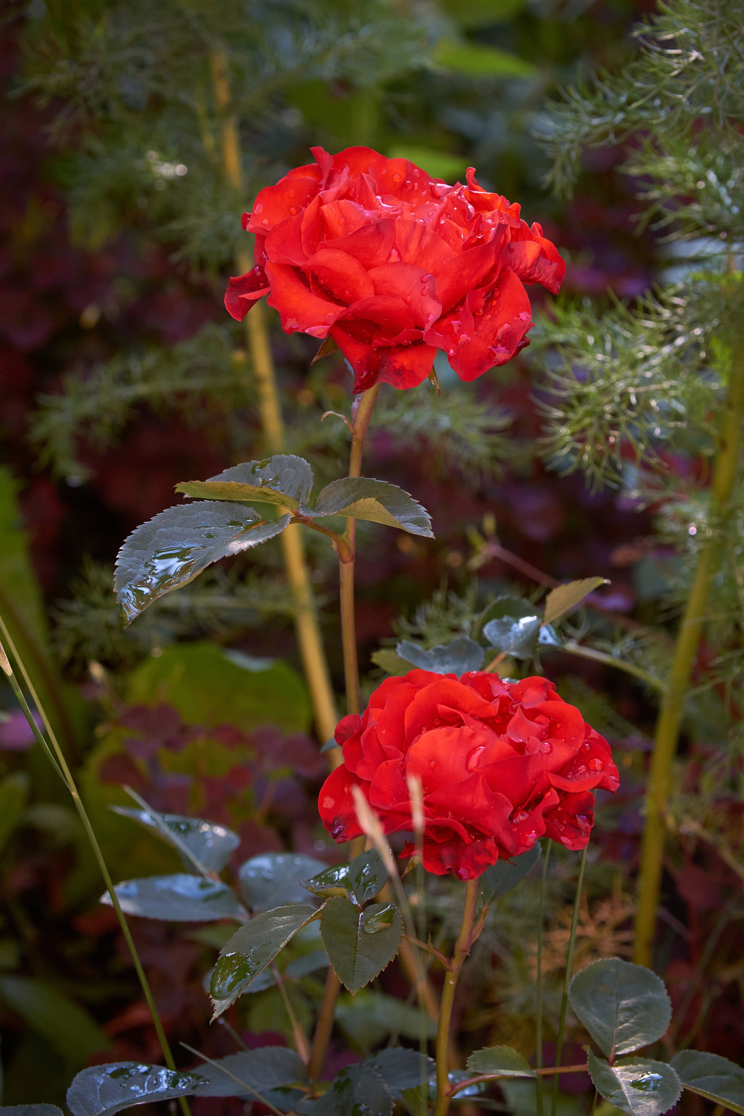 Наша мать — природа. Фотограф Владимир Артамонов