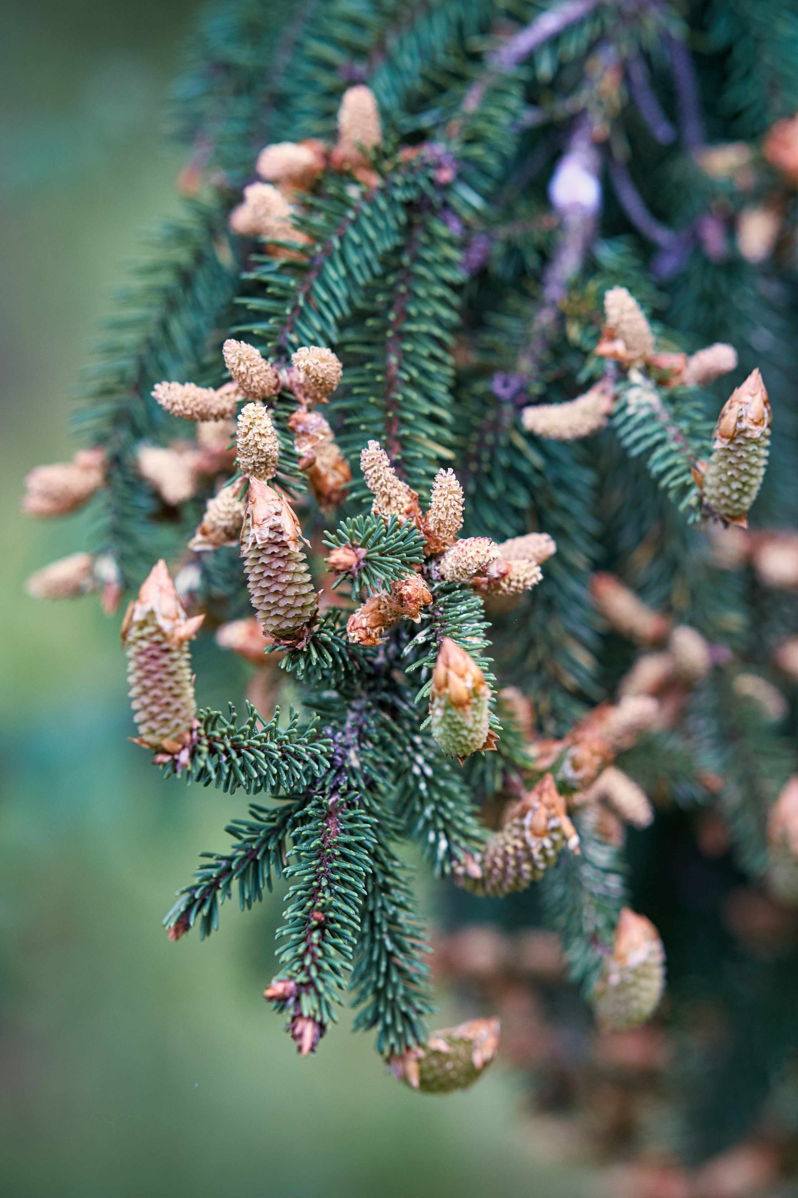 Наша мать — природа. Фотограф Владимир Артамонов