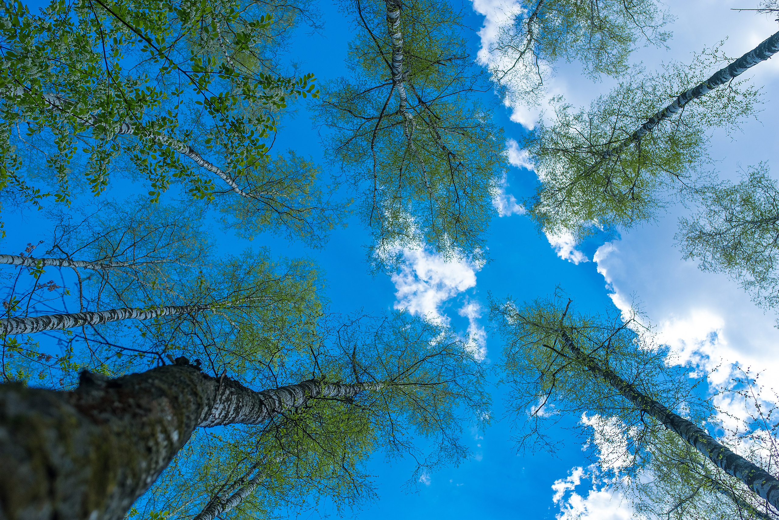 Наша мать — природа. Фотограф Владимир Артамонов