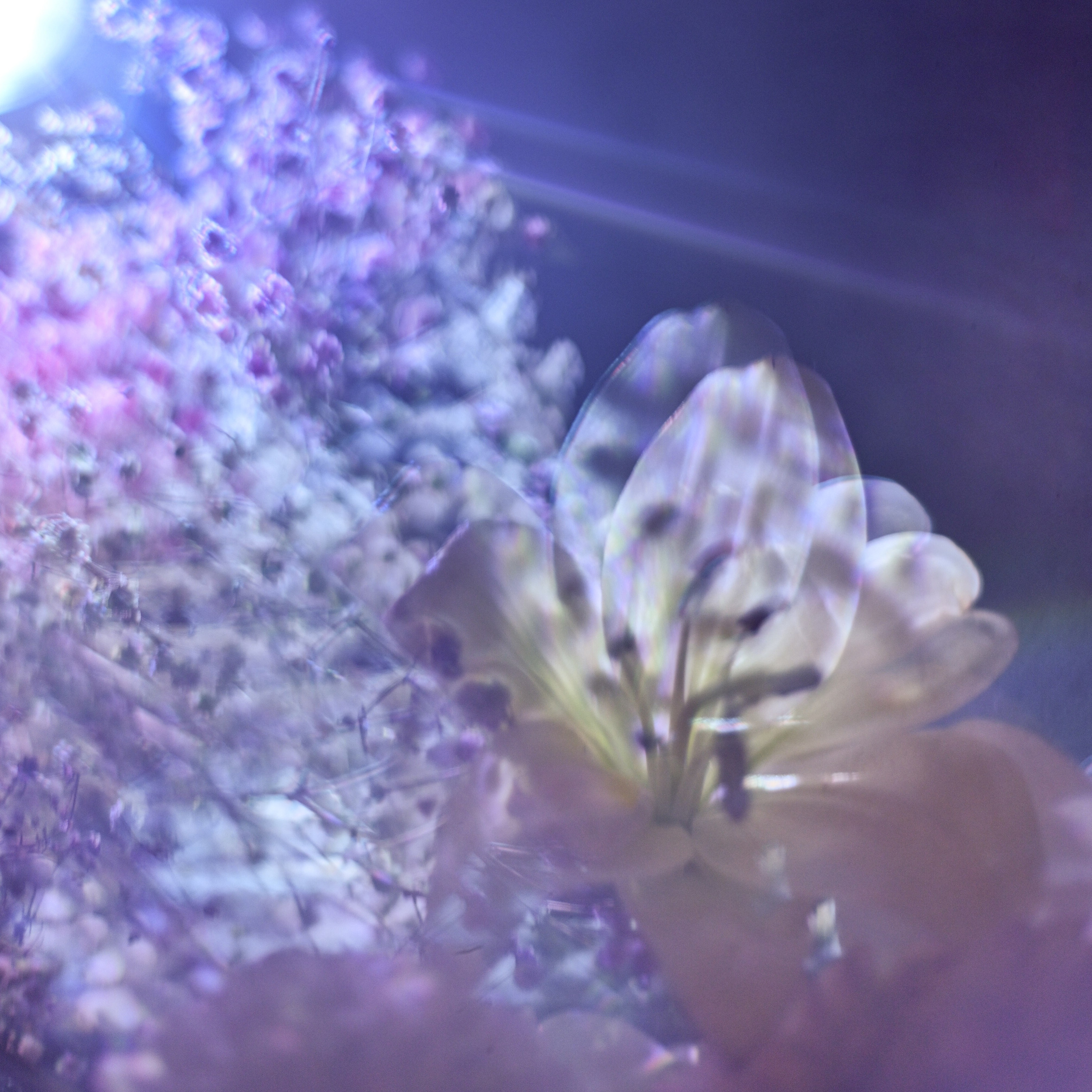 Курс «БОЛЬШОЙ И ГРОМКИЙ!». Университет по фотографии Игоря Мальцева