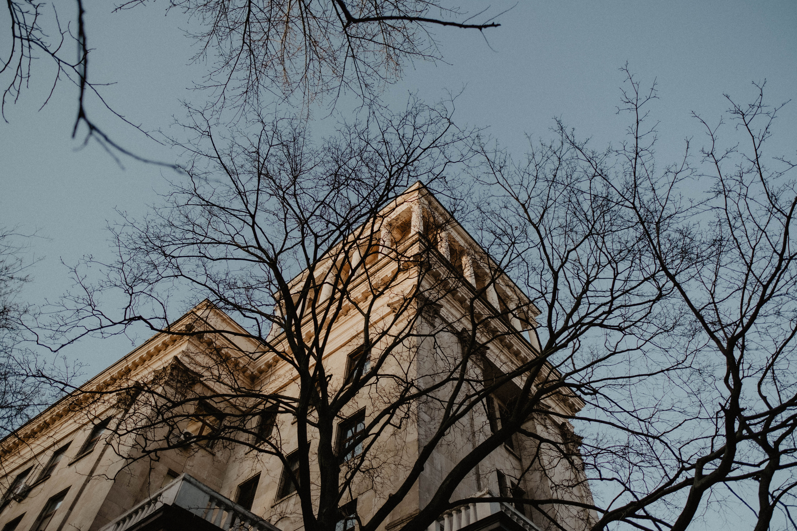 Маша и Максим. Свадебный фотограф Оля Григунова