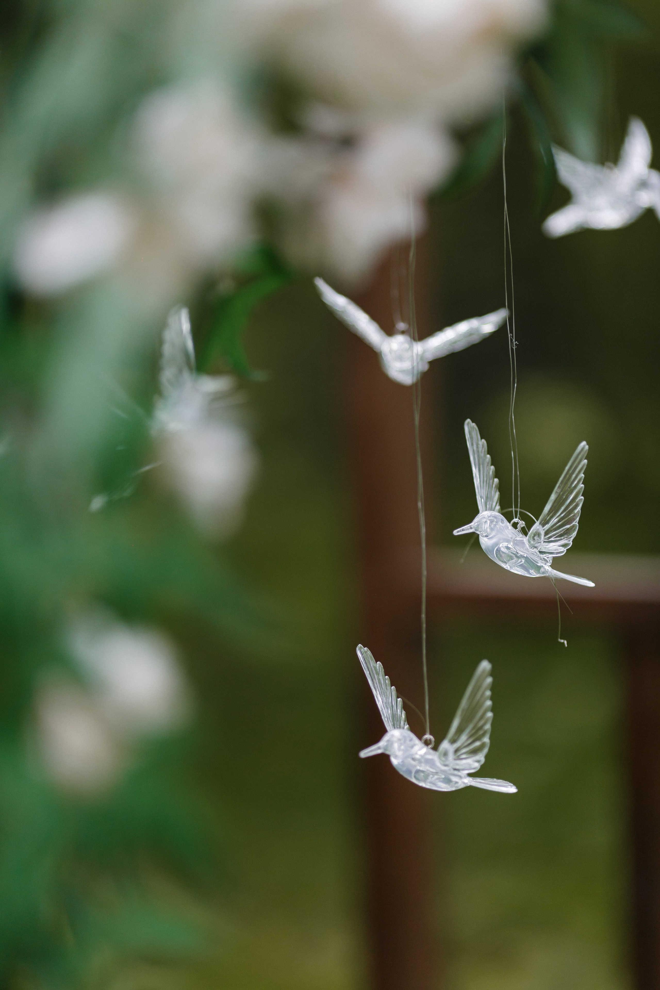 Кристина и Евгений. Свадебный и репортажный фотограф Евгений Петров