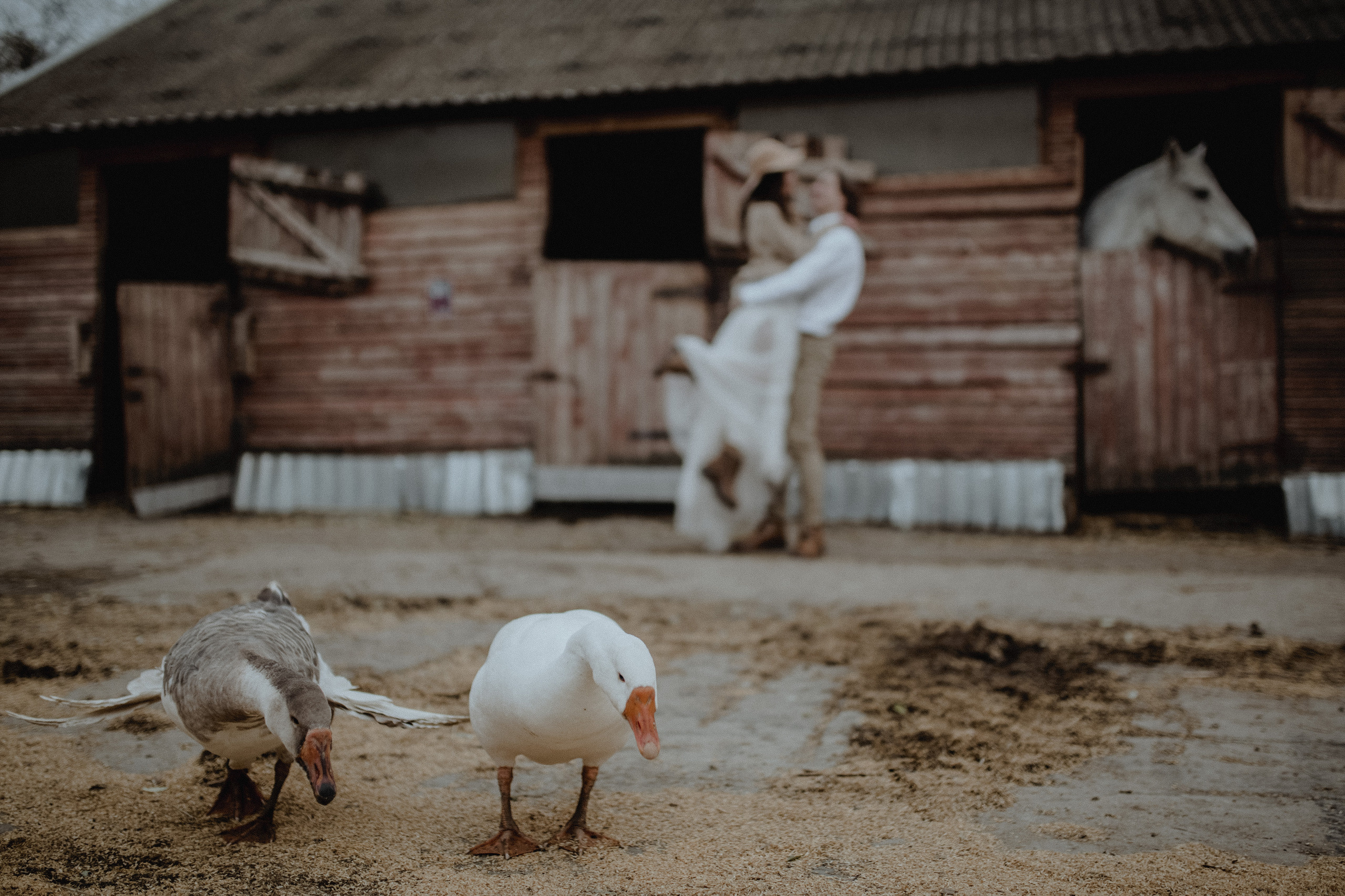 Свадьба для двоих Roma&Alisa. Свадебный /Семейный фотограф в Краснодарском крае Лилия Комар