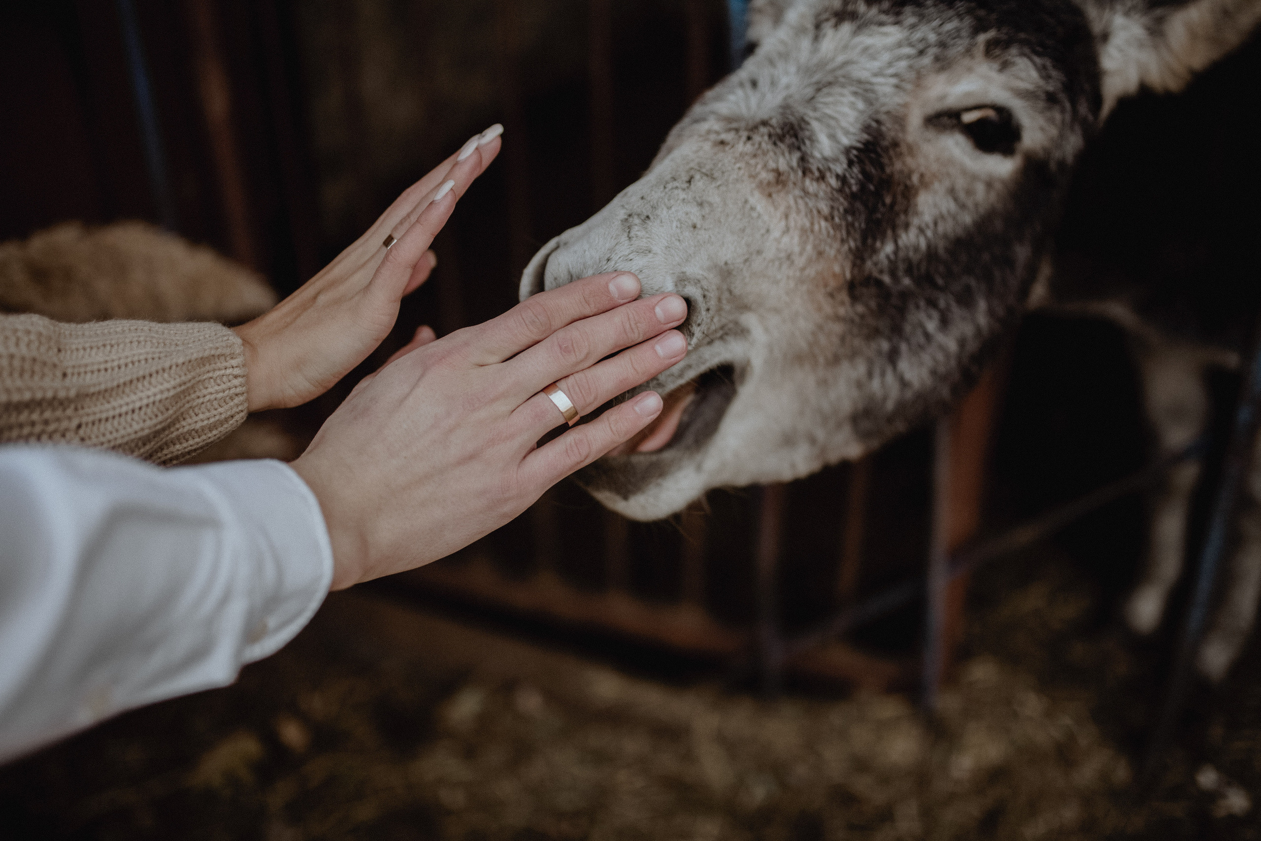 Свадьба для двоих Roma&Alisa. Свадебный /Семейный фотограф в Краснодарском крае Лилия Комар