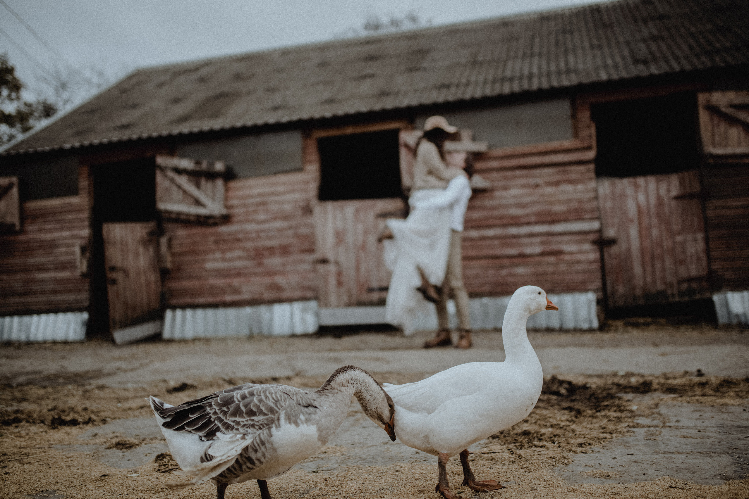 Свадьба для двоих Roma&Alisa. Свадебный /Семейный фотограф в Краснодарском крае Лилия Комар