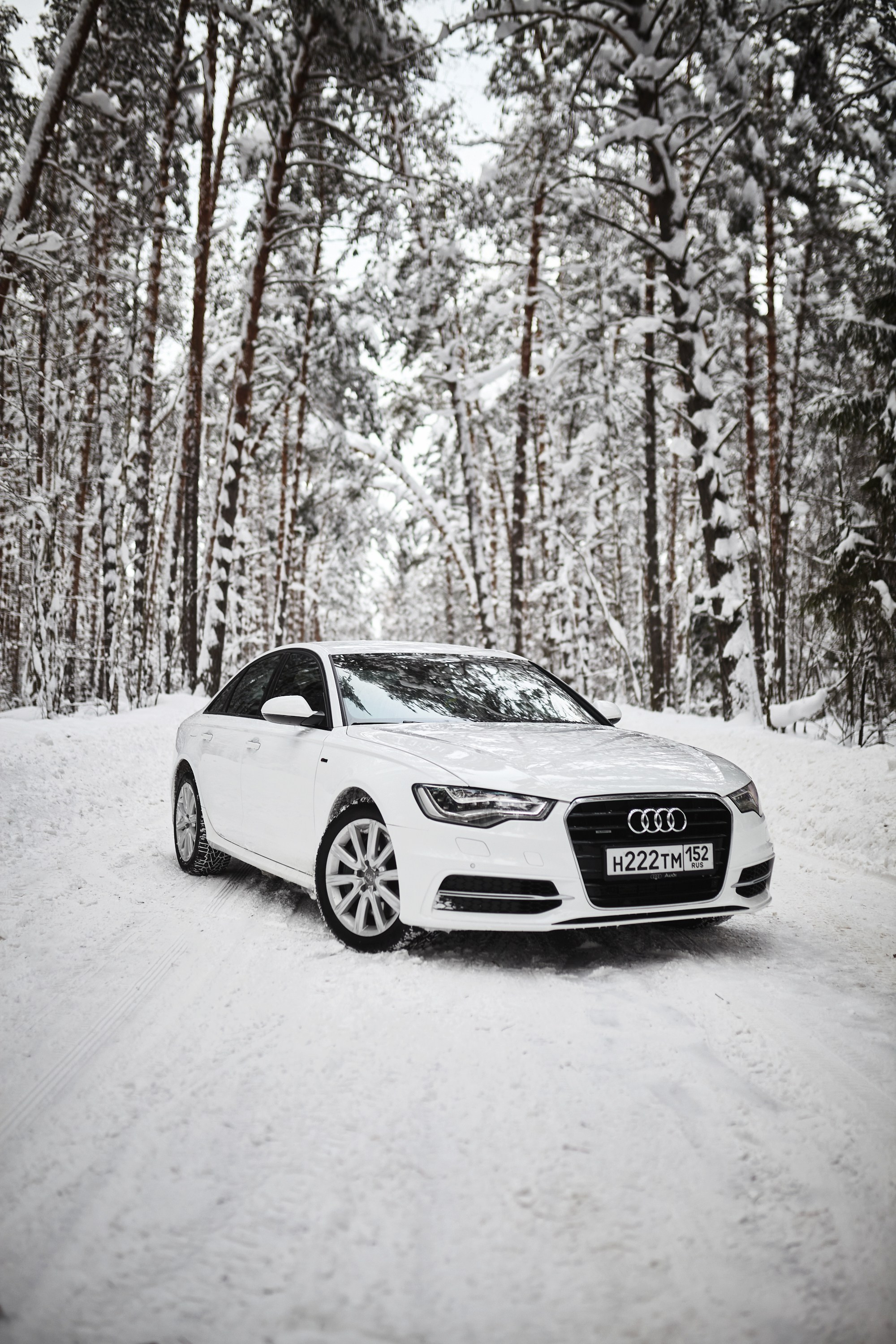 Audi A6. DKARPOCHEVA PHOTOGRAPHY