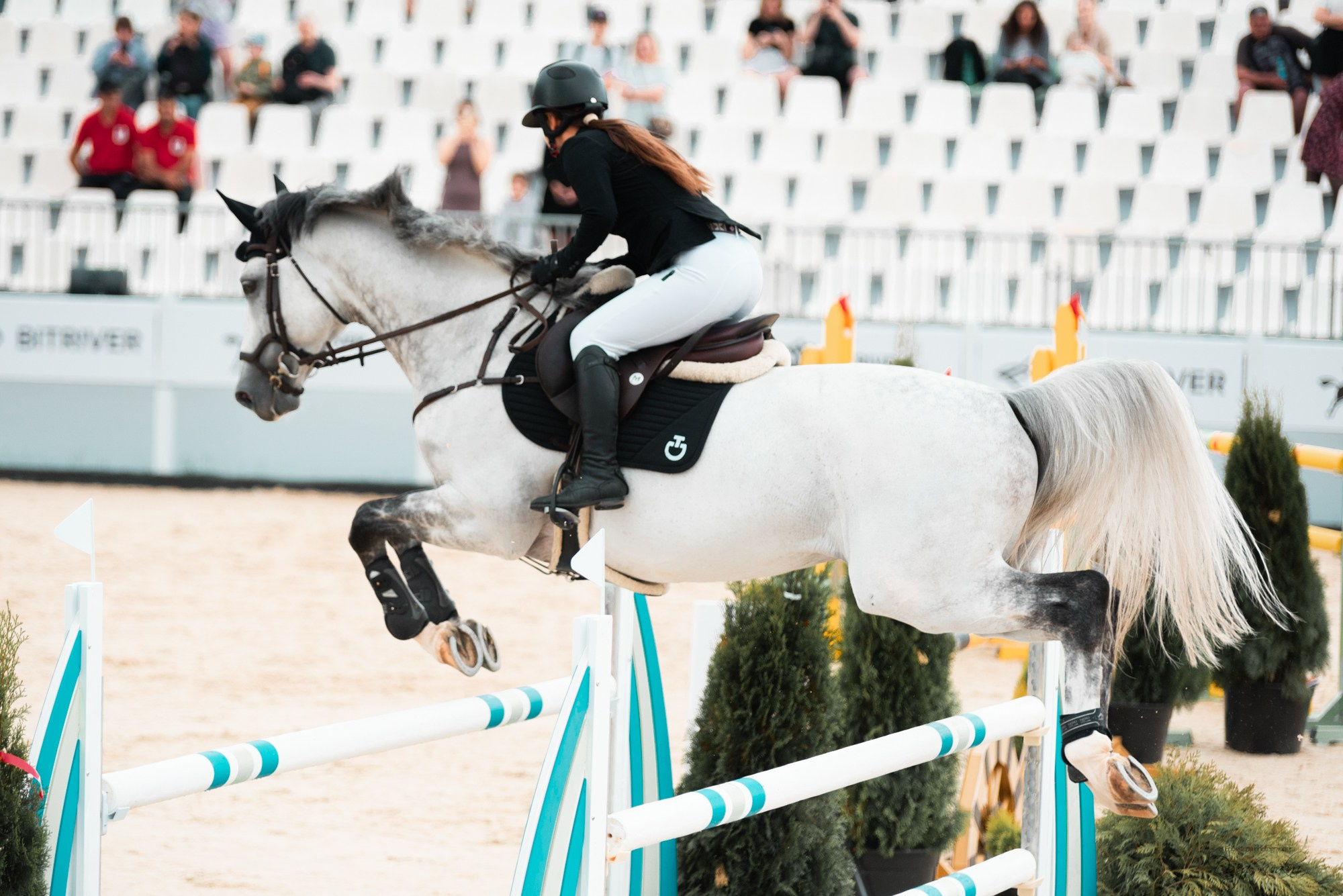 BITRIVER CUP 2023. Конный фотограф Куракина Дарья • Фотосессии с лошадьми